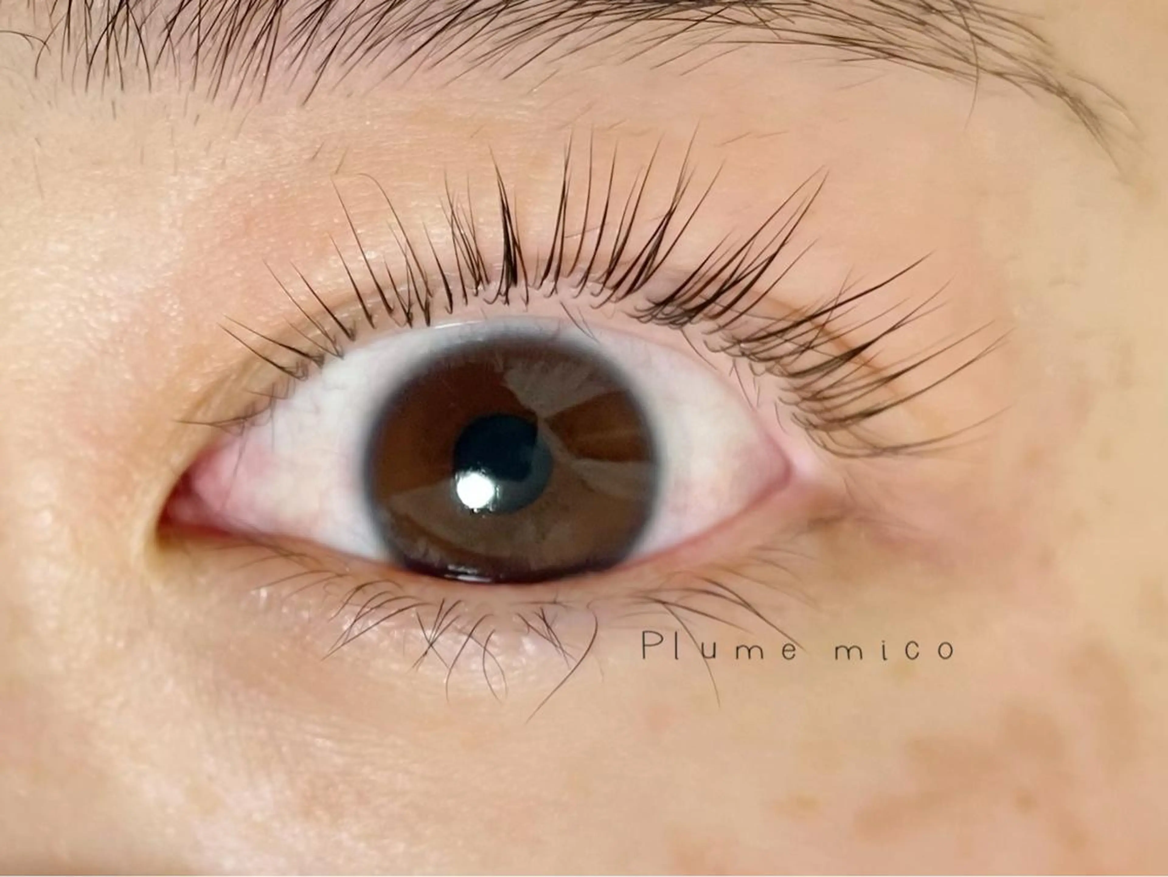 マツエク・マツパ マツパ Plume micoのマツエク・マツパデザイン