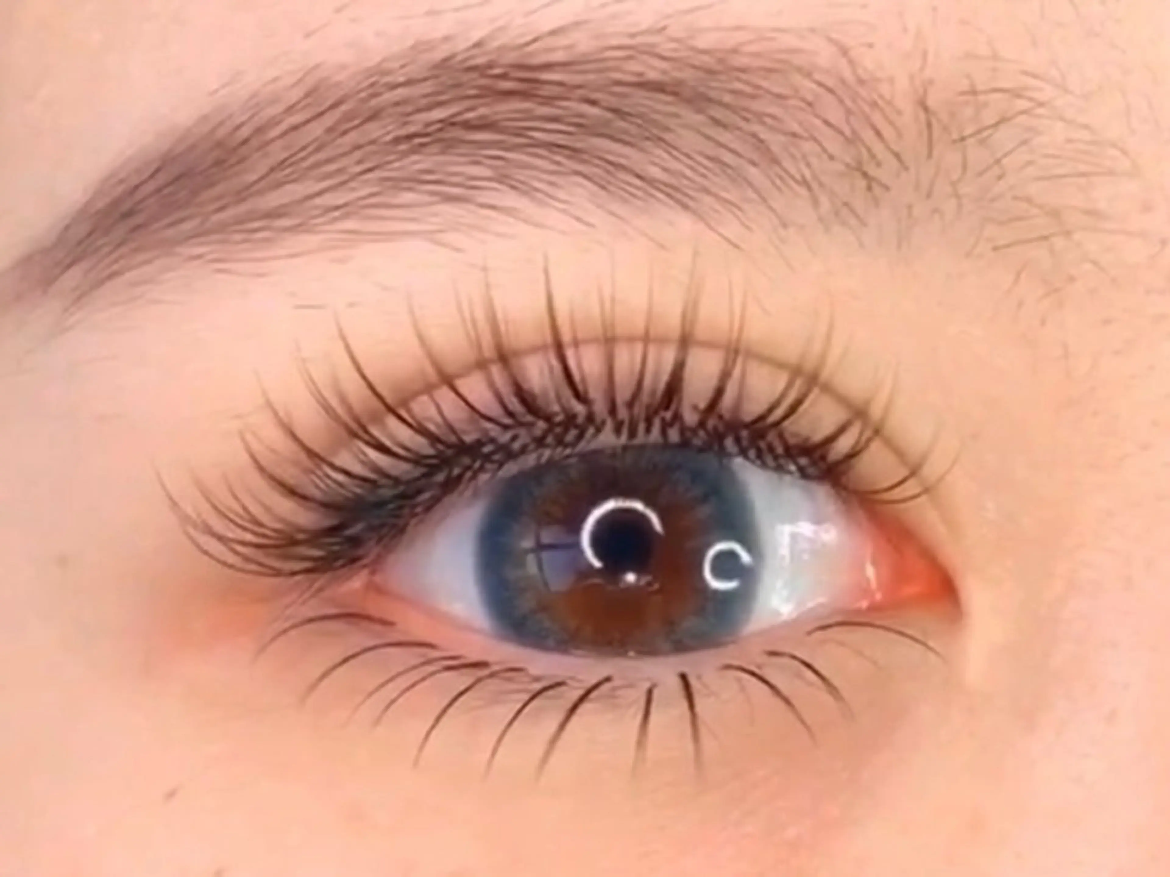 マツエク・マツパ 付け放題 バインドロック 束感まつ毛 カラーマツエク フラットラッシュ マツエク Ｍ salon アイラッシュのマツエク・マツパデザイン