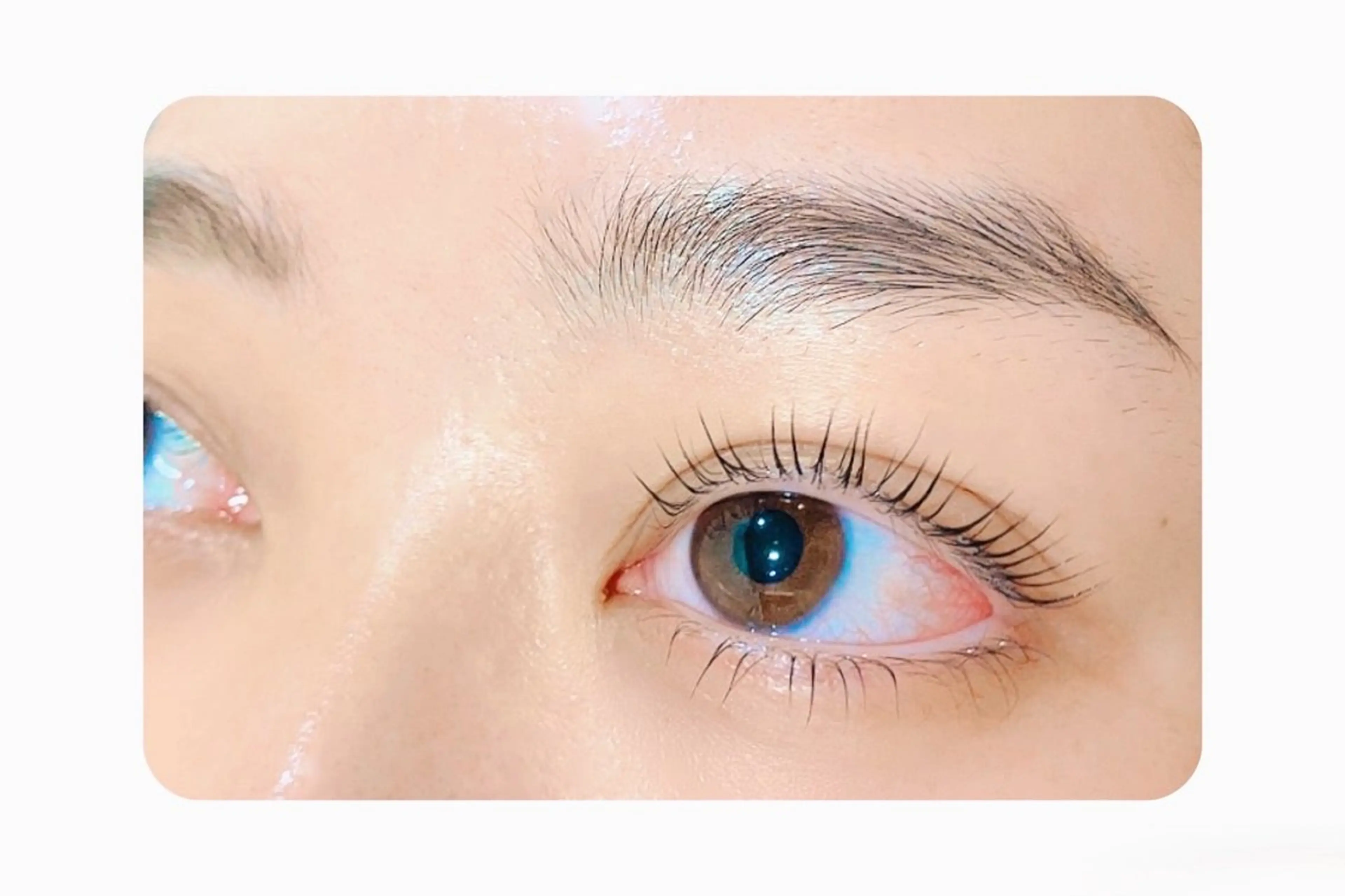 マツエク・マツパ Gluttony/ ｸﾞﾗﾄﾆｰ＊ユキのマツエク・マツパデザイン