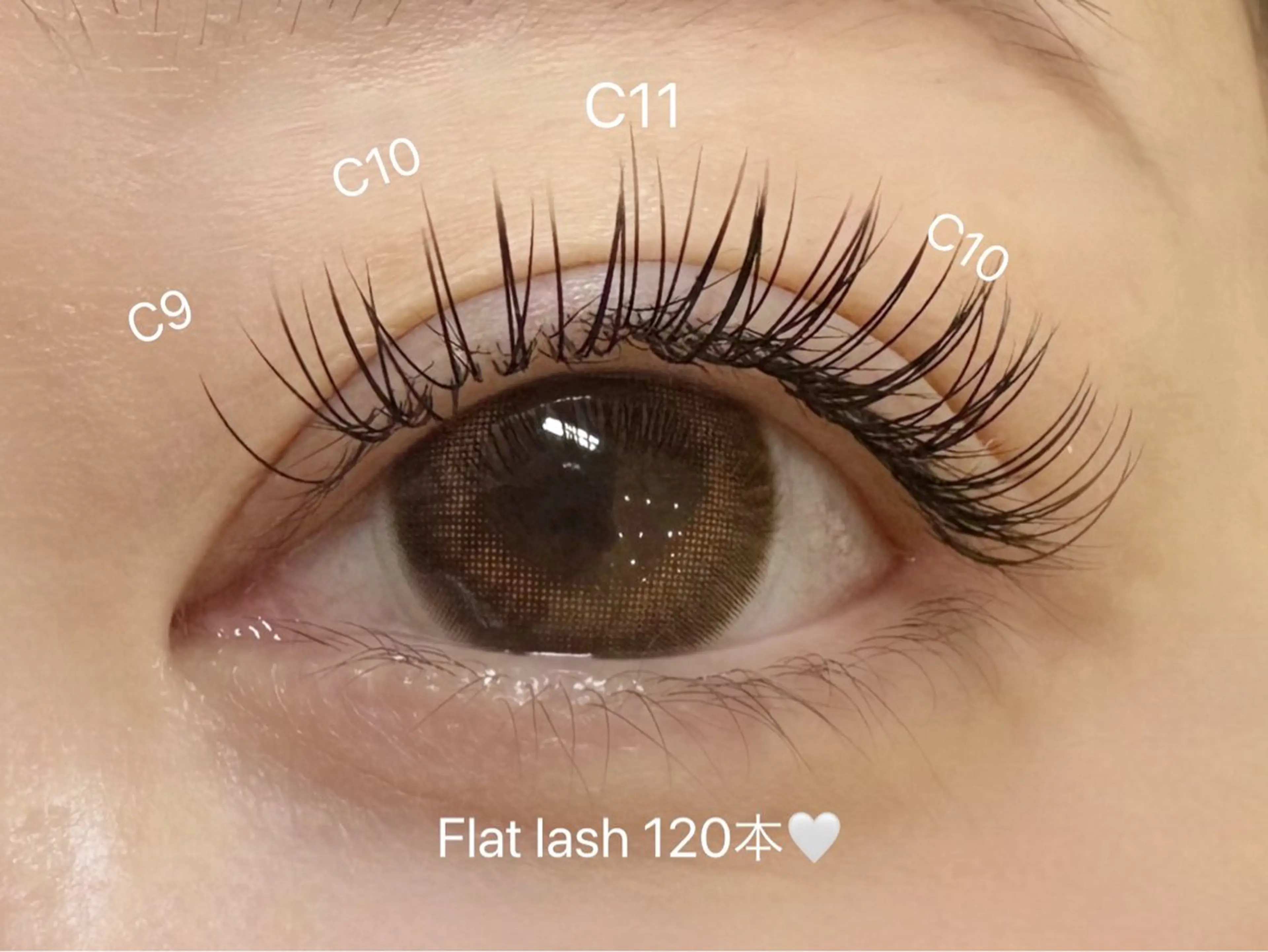 🌷平日限定🌷フラットラッシュ　120本まで　オフ込みの写真