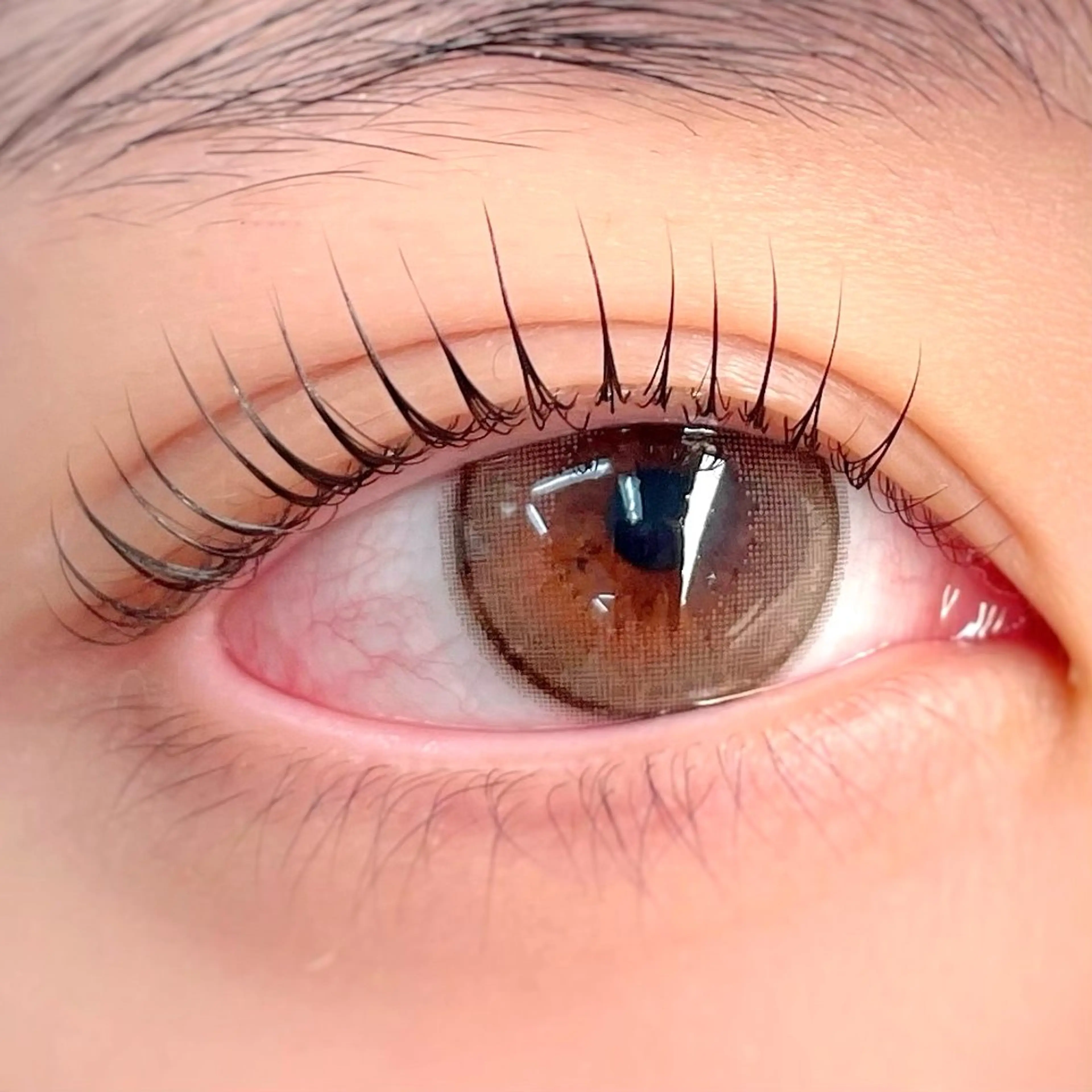 Ｌ3リフトの写真