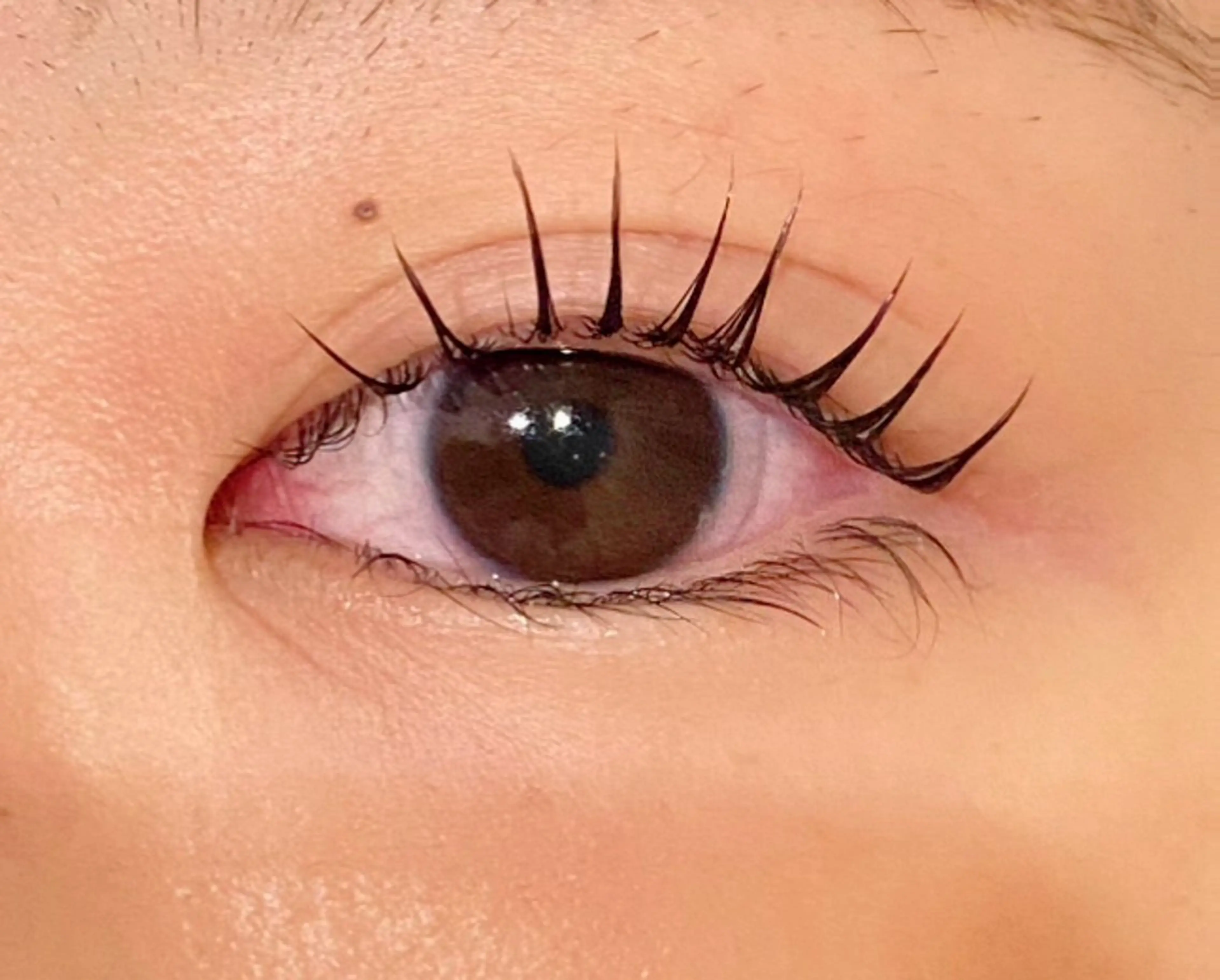 マツエク・マツパ 束感まつ毛 韓国風マツエク マツパ Jessica 清水🎀✨のエステ・リラクイメージ