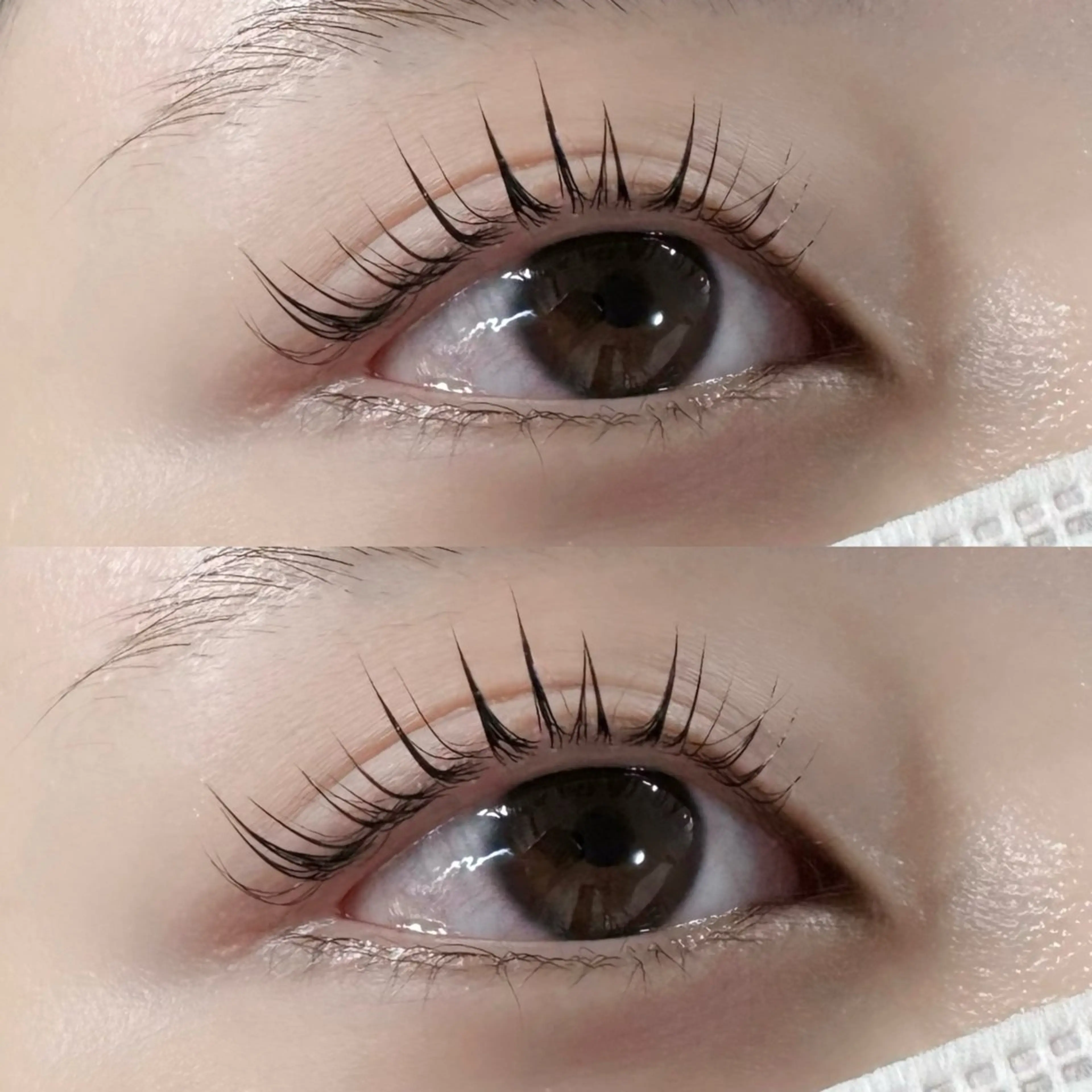 マツエク・マツパ パリジェンヌラッシュリフト マリーテレジア/ MOCHIZUKIのマツエク・マツパデザイン