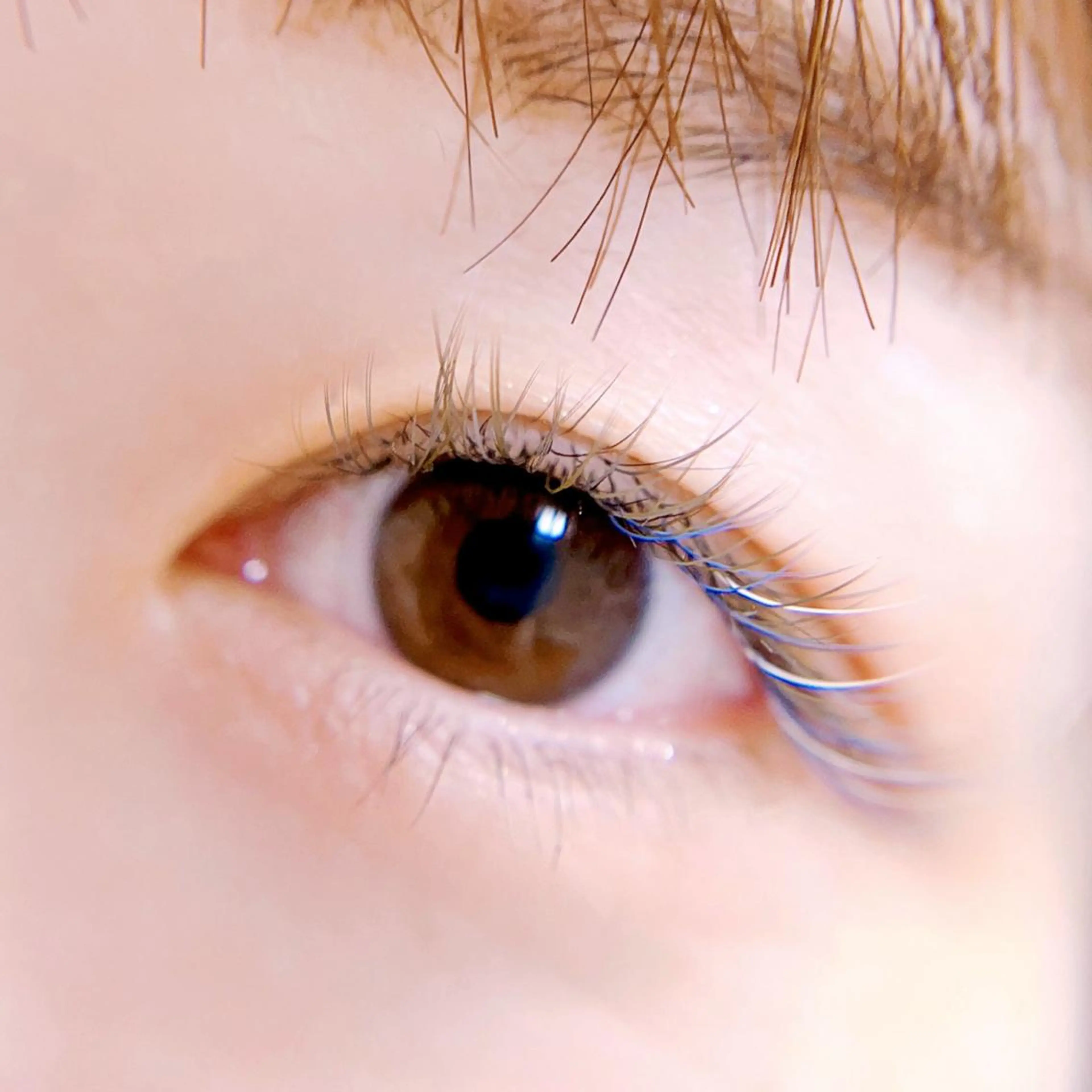 マツエク・マツパ Leola ERIKAのマツエク・マツパデザイン