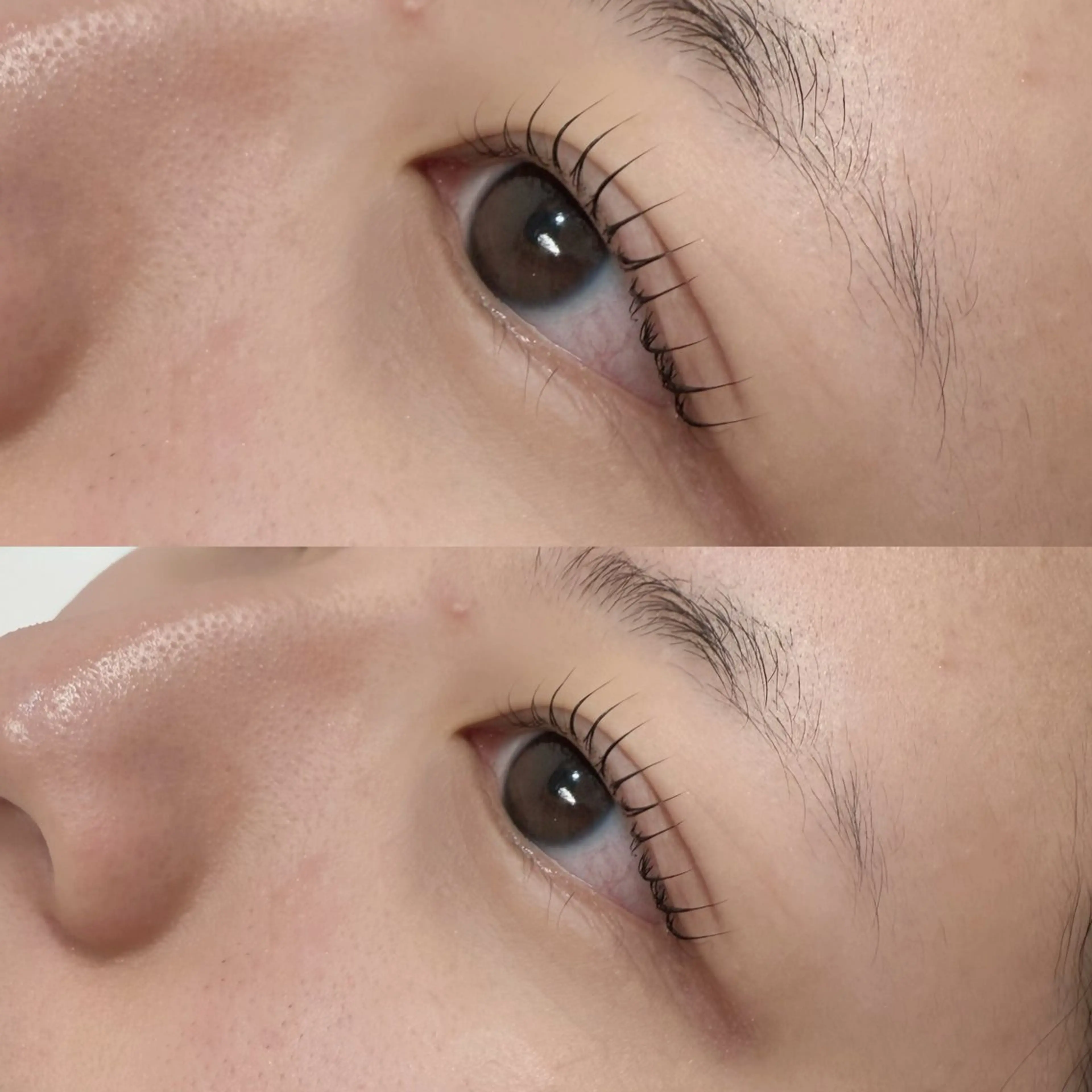 【✨ご新規様限定✨】まつ毛パーマ+補修トリートメント‼️の写真