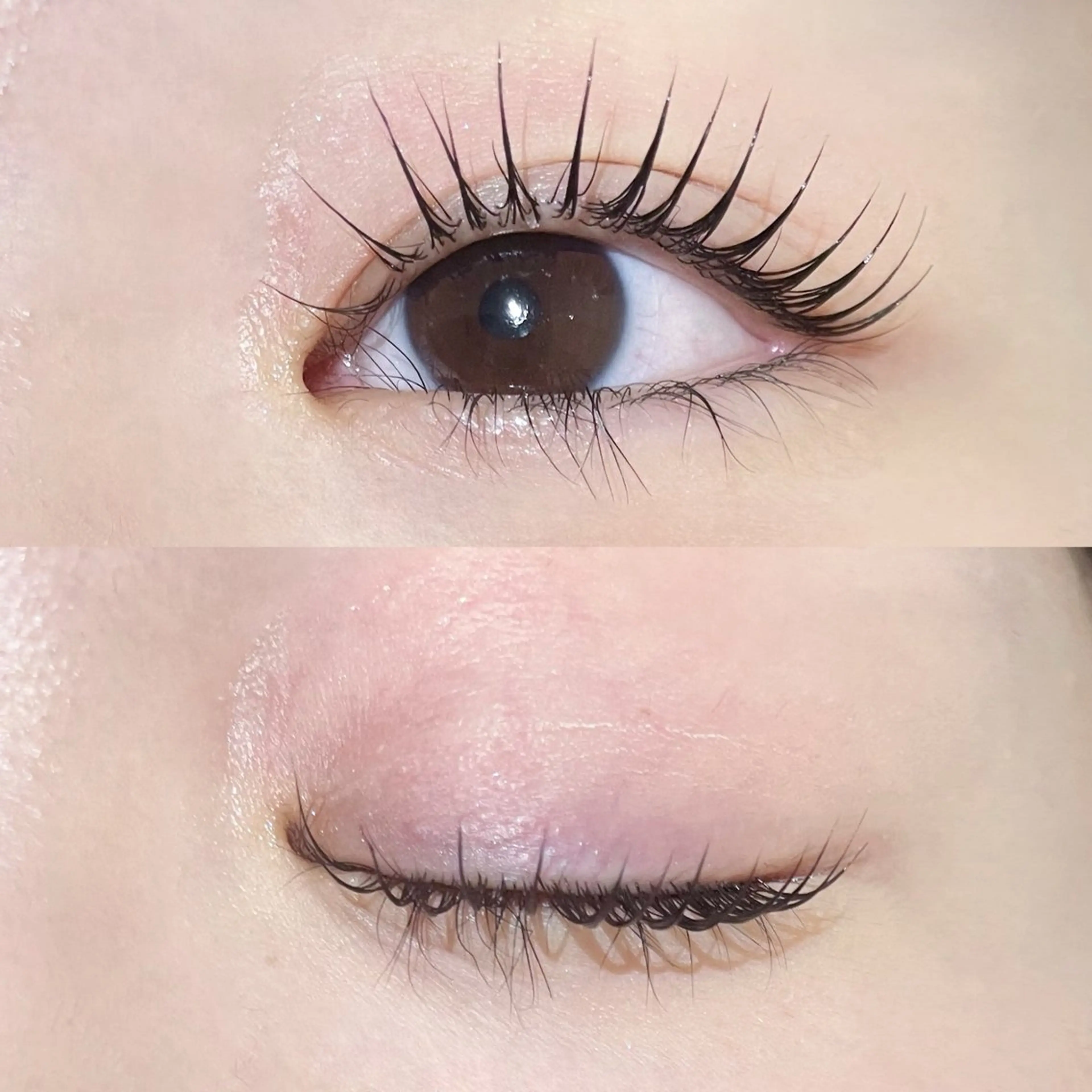 マツエク・マツパ YUKA 🍯のマツエク・マツパデザイン