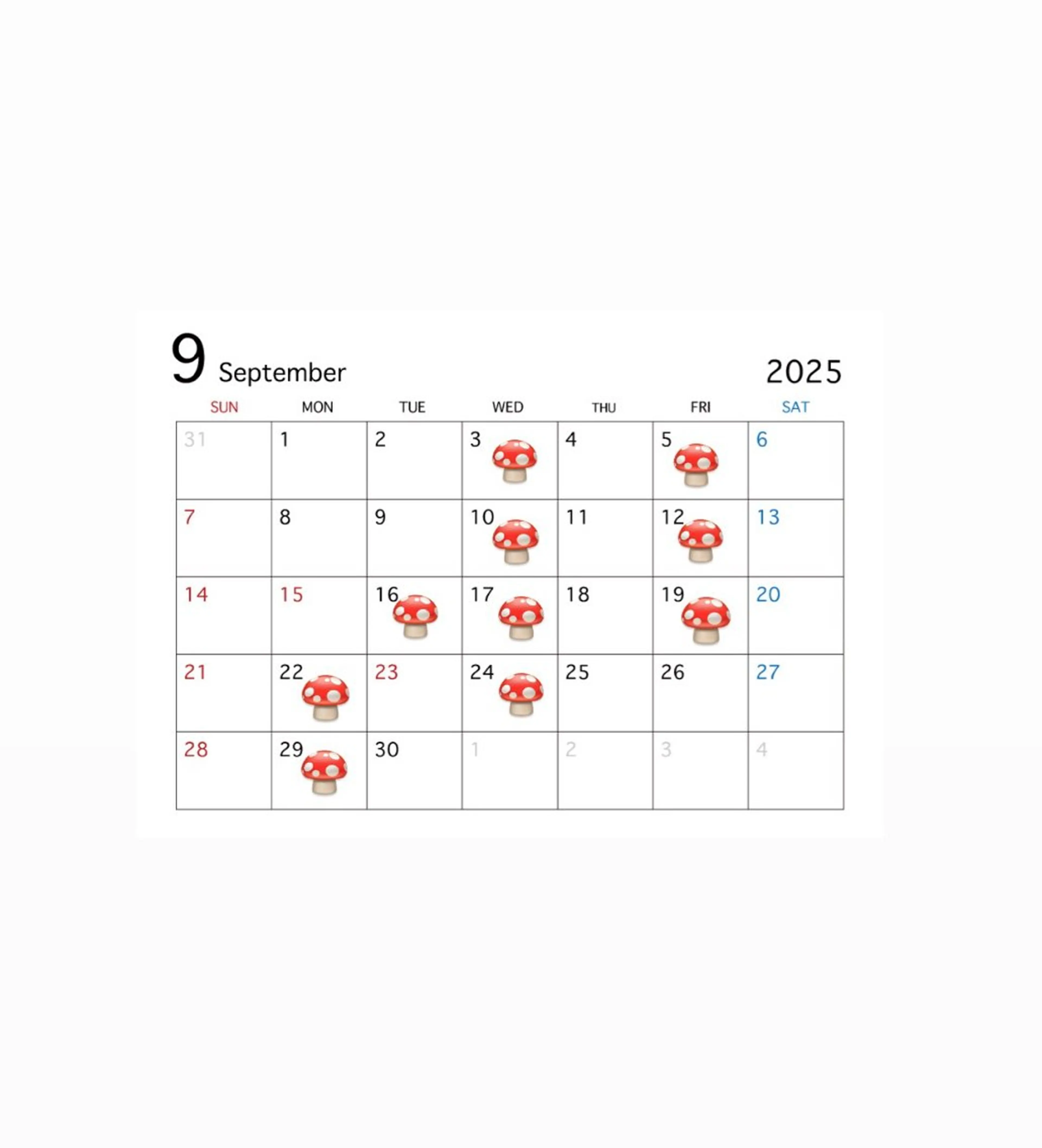 ミディアム カット MIREI /韓国風 ショート/大阪美容室のヘアスタイル