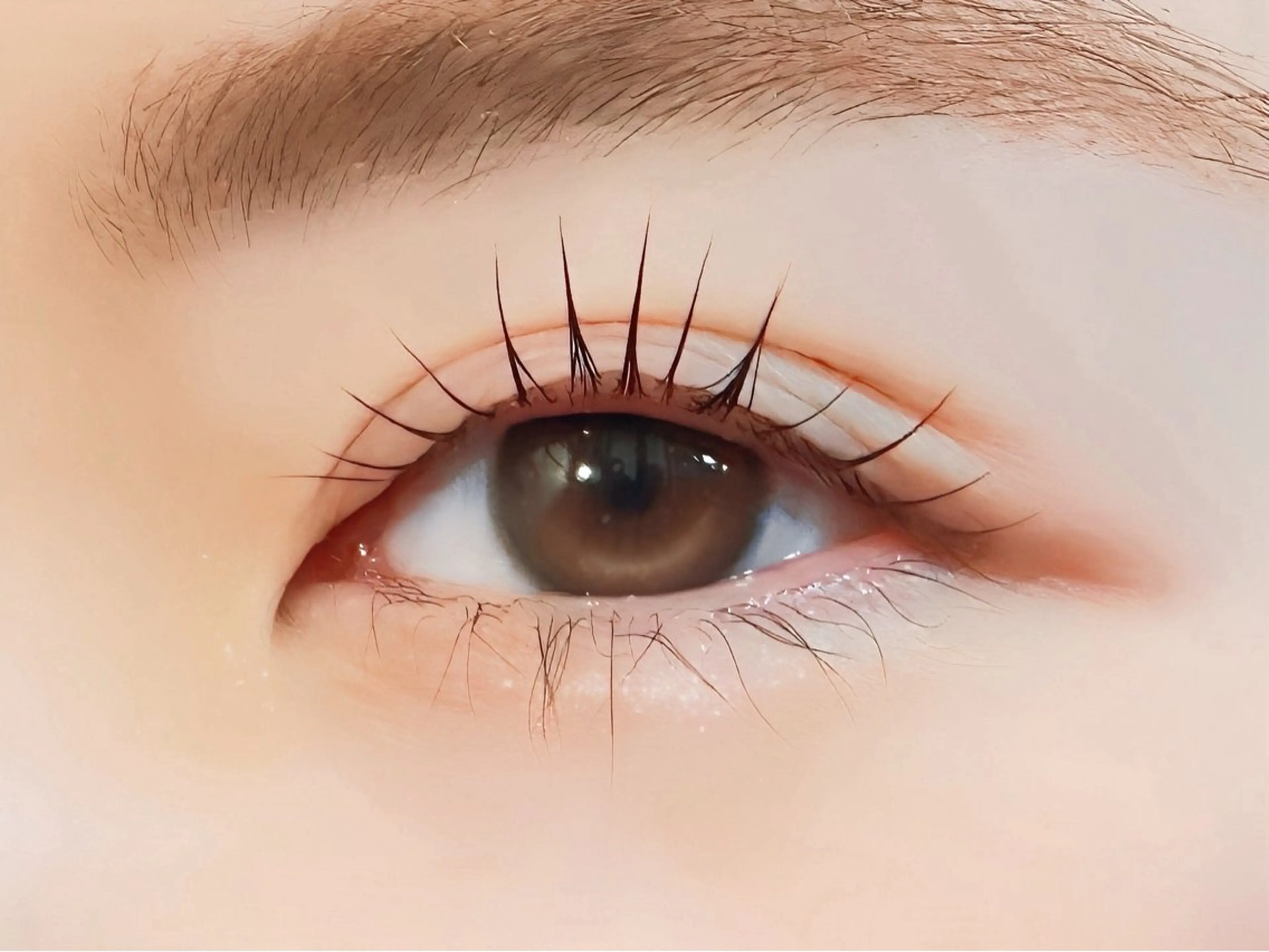 📩リクエスト予約用📩3回目まで！Lash lift🪺 まつげパーマ(上)の写真