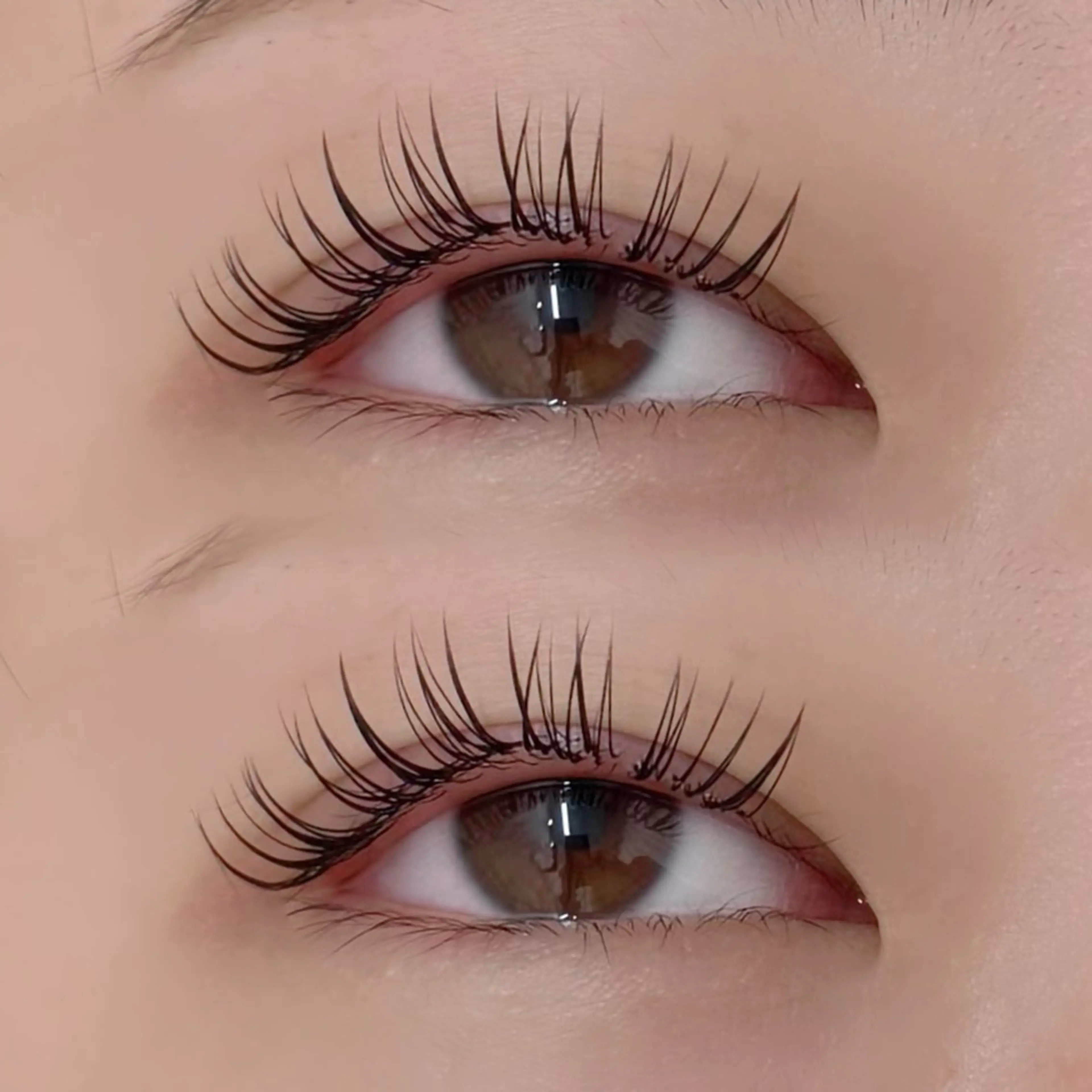 マツエク・マツパ マツエク minion南浦和店所属・南浦和 yuno🐱のマツエク・マツパデザイン