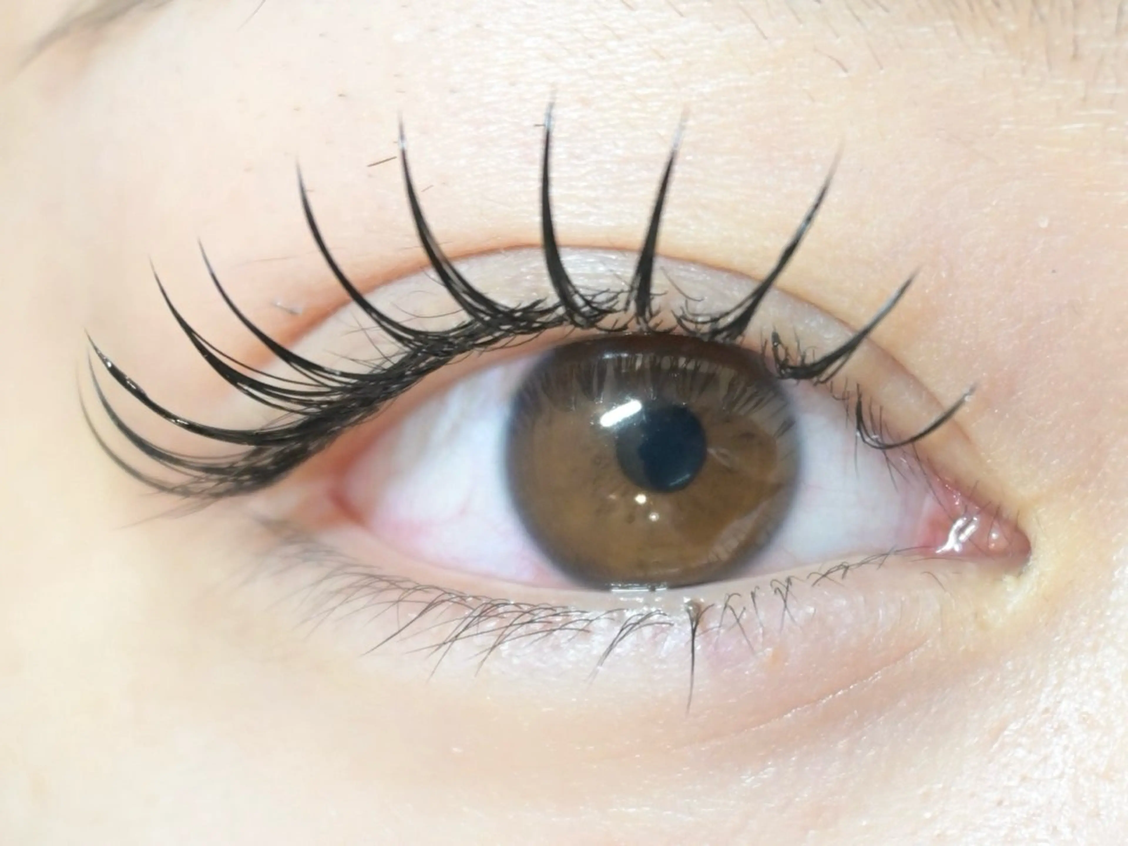 【しっかりボリューム重視】フラットラッシュ 160本の写真