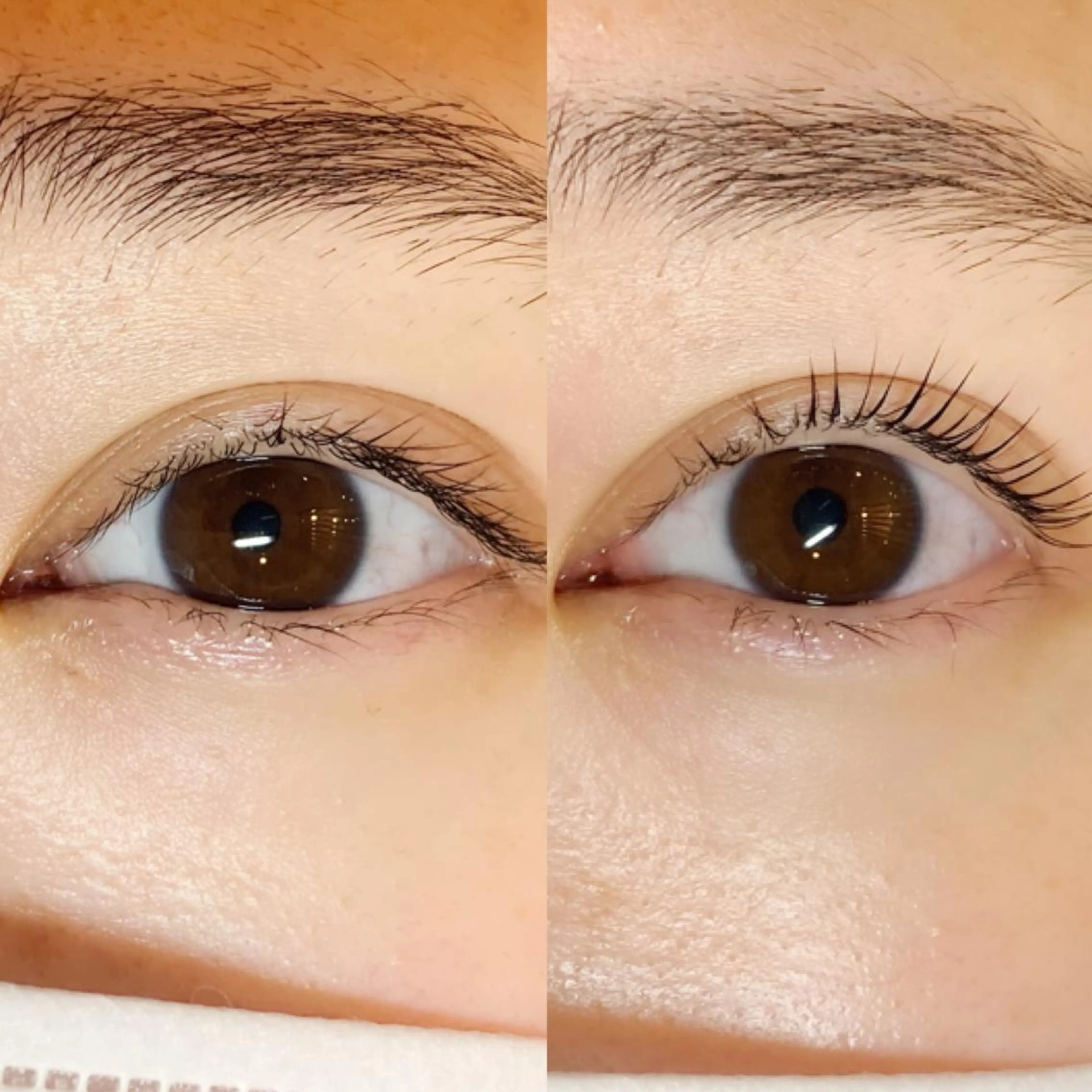 マツエク・マツパ 紬麦所属・藤井 しほの眉毛・アイブロウイメージ