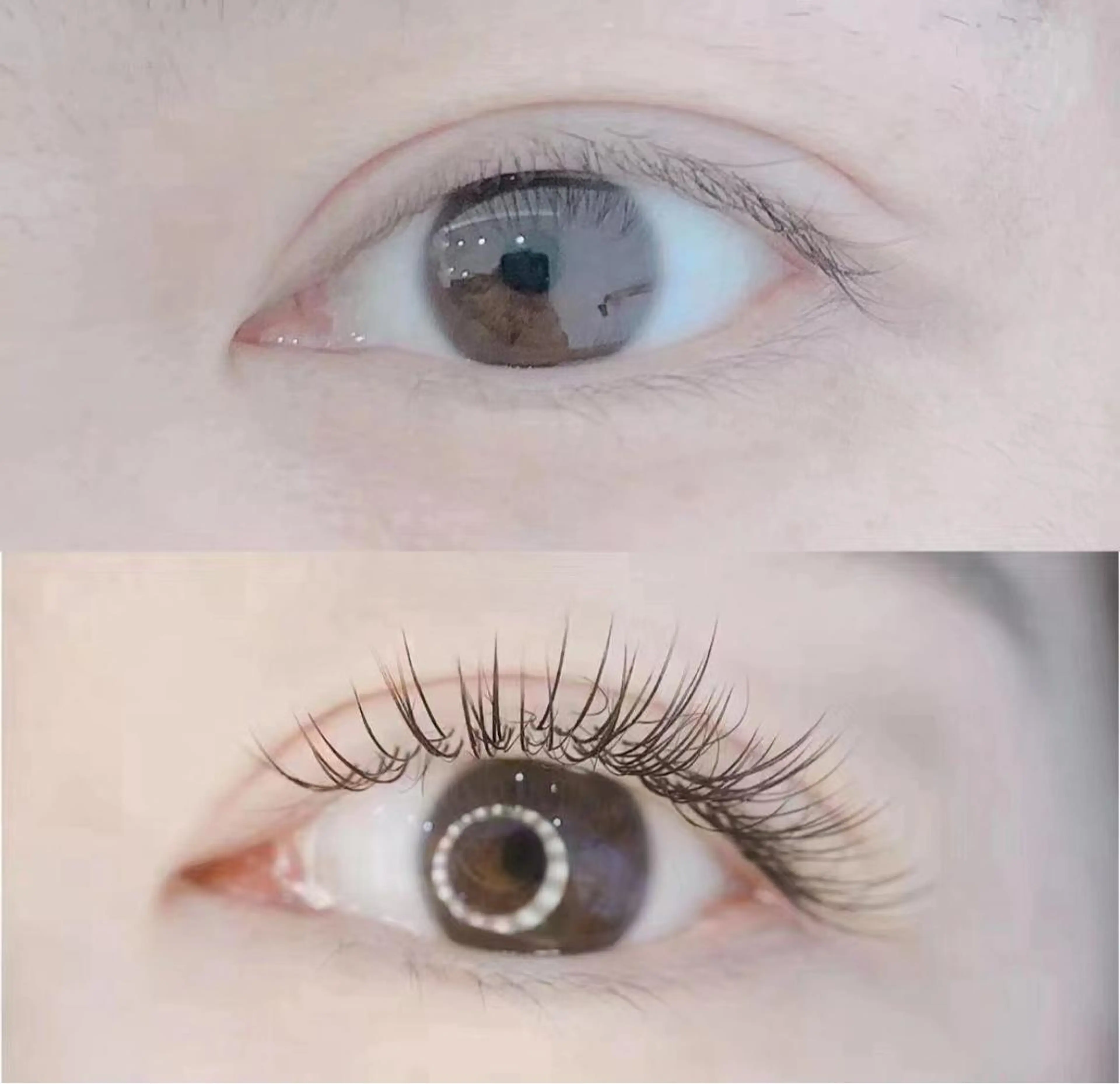 マツエク・マツパ マツエク 高橋 ルネのマツエク・マツパデザイン