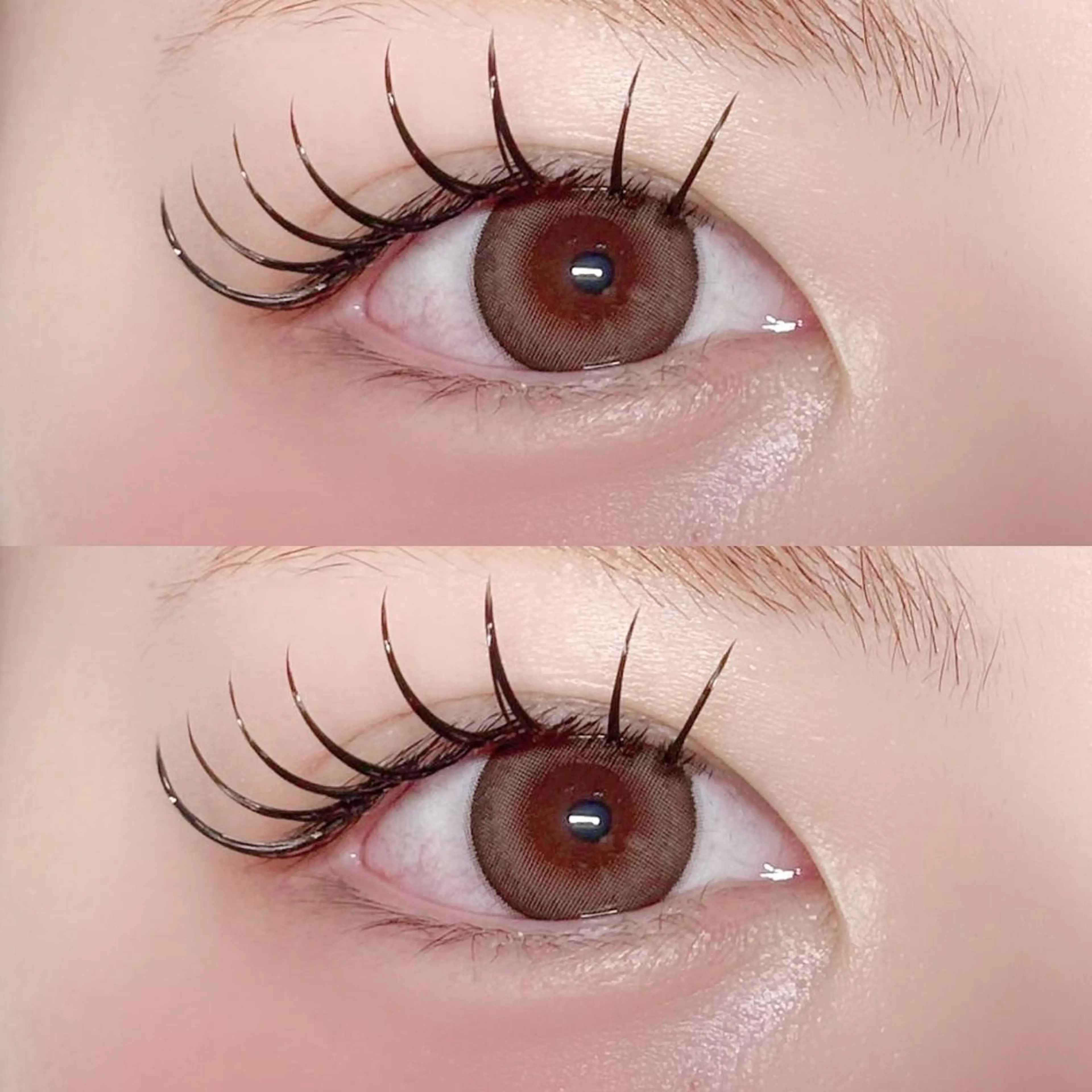 〈オフ無し〉フラットラッシュ100本の写真