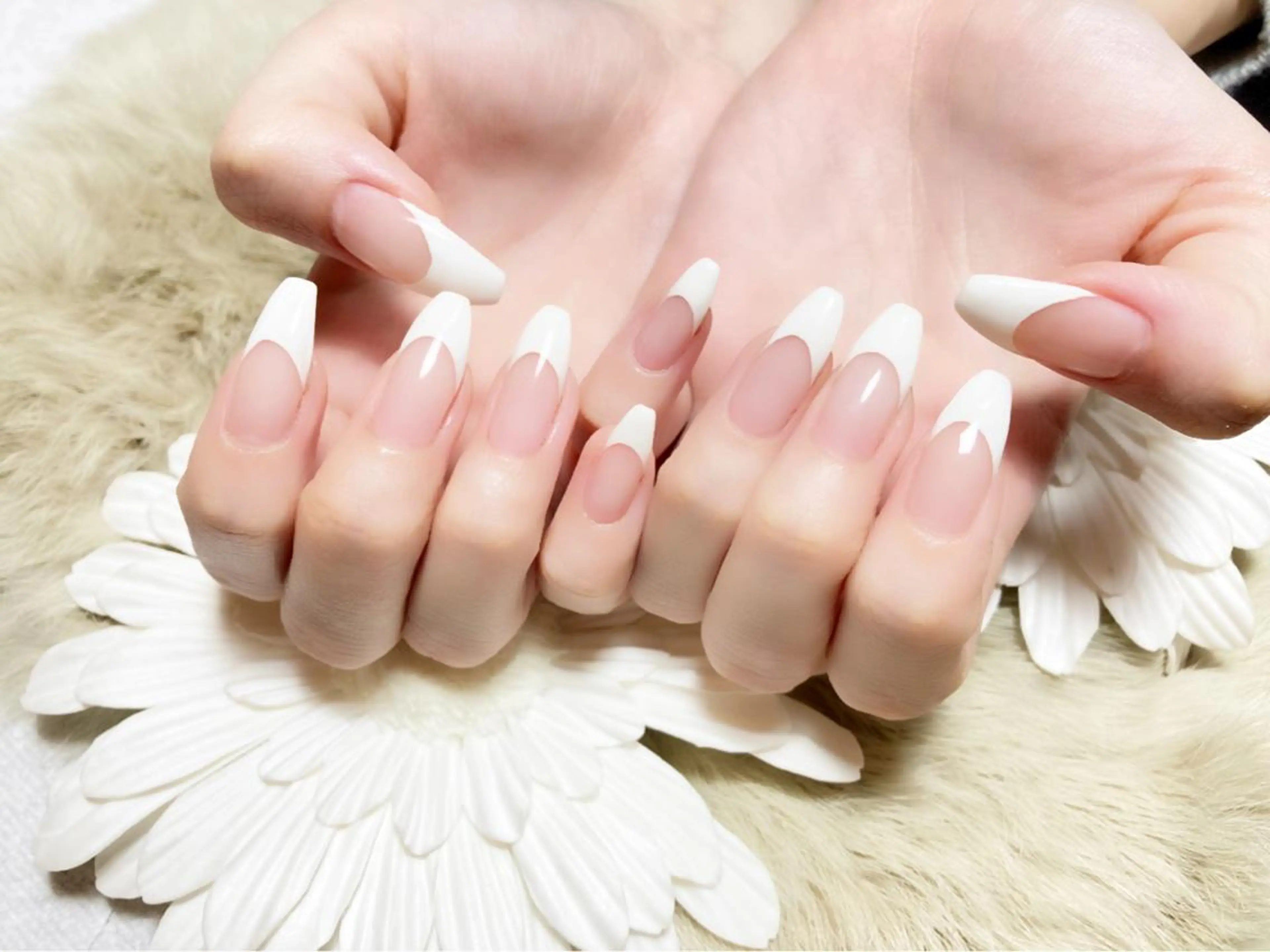 フレンチorカラーグラデー🎀パラジェルの写真