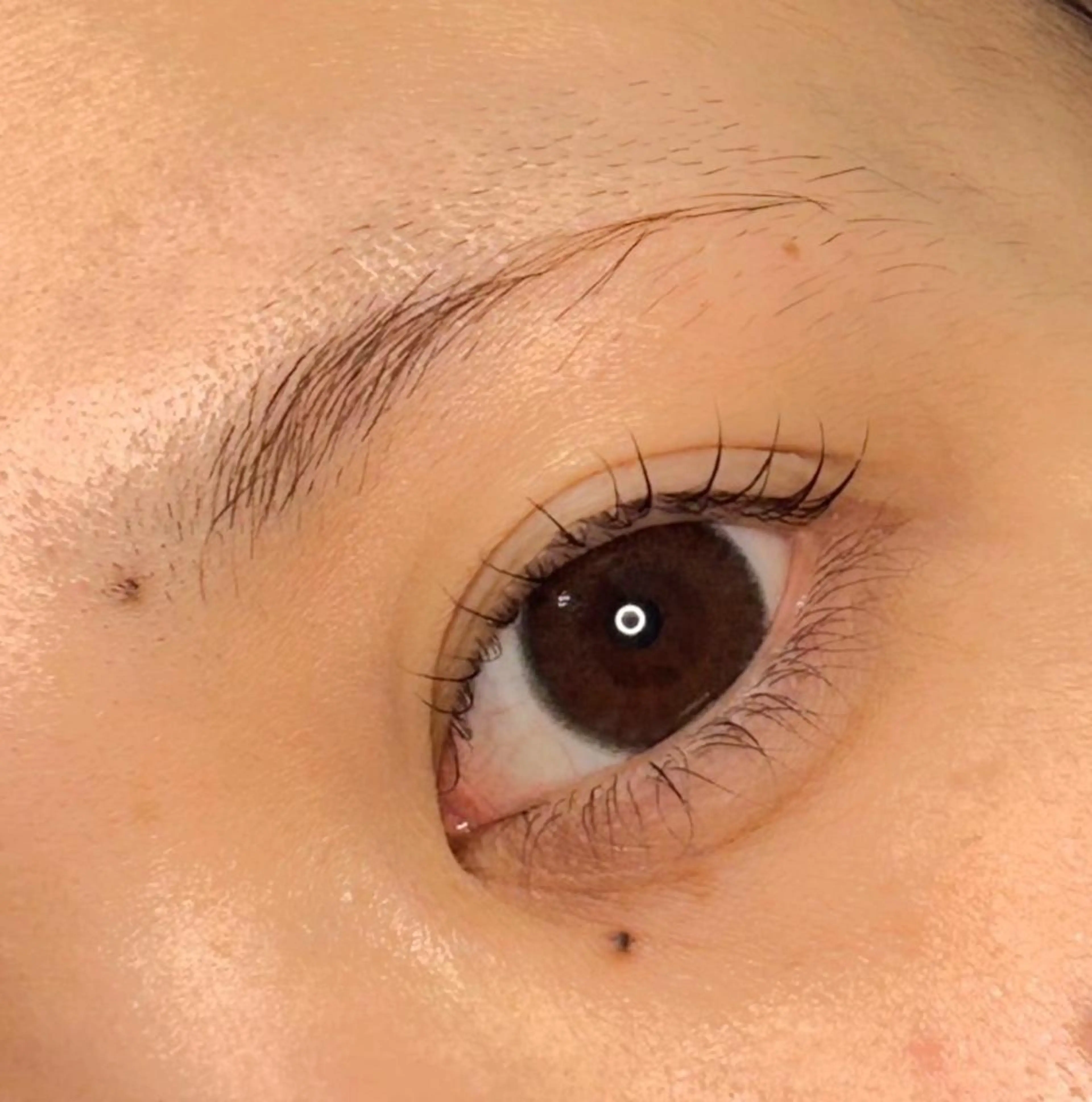 マツエク・マツパ マツパ 【eight】 土橋の眉毛・アイブロウイメージ