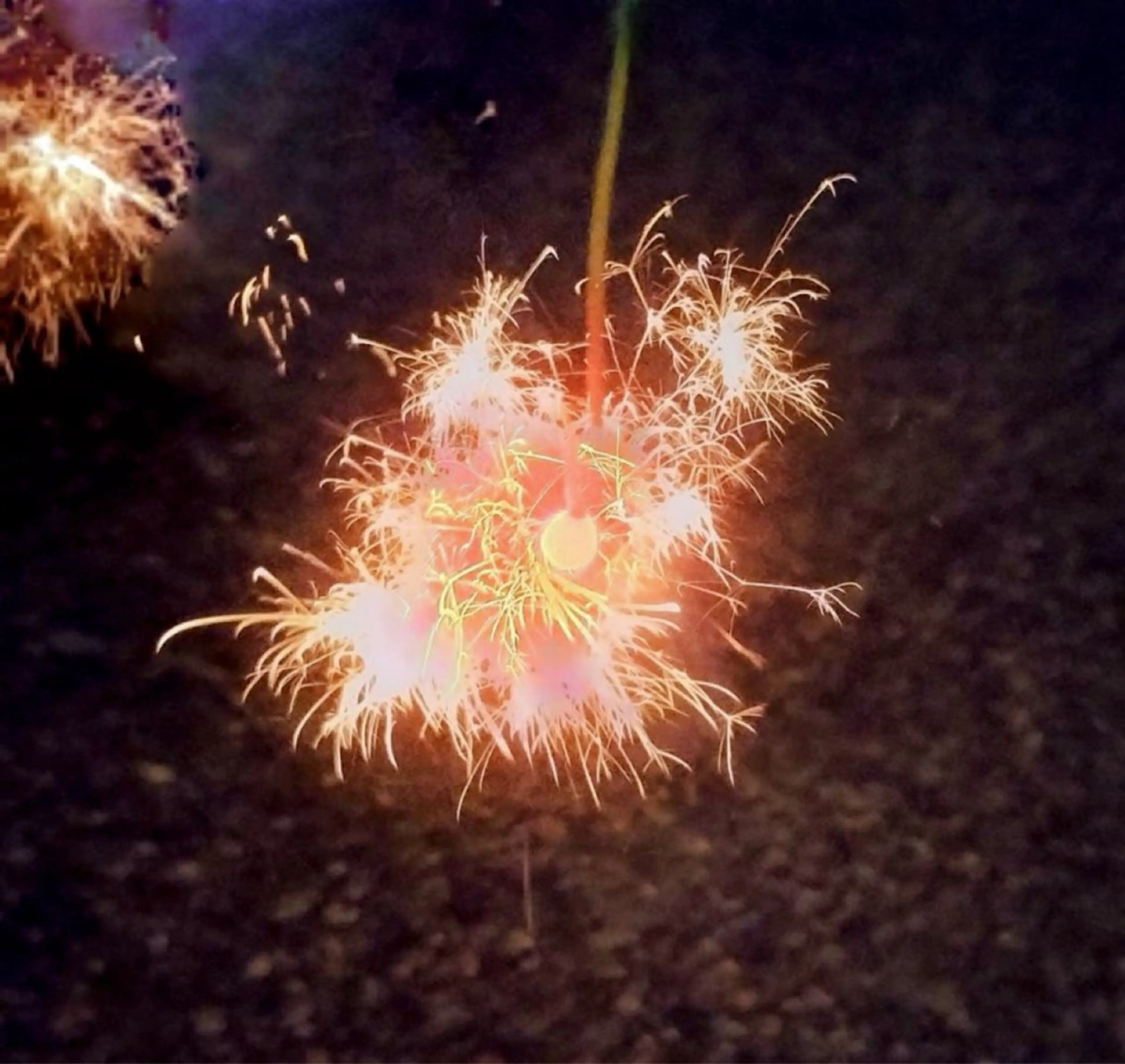 小顔×肌質改善サロン soin〔ソワン〕のエステ・リラクイメージ