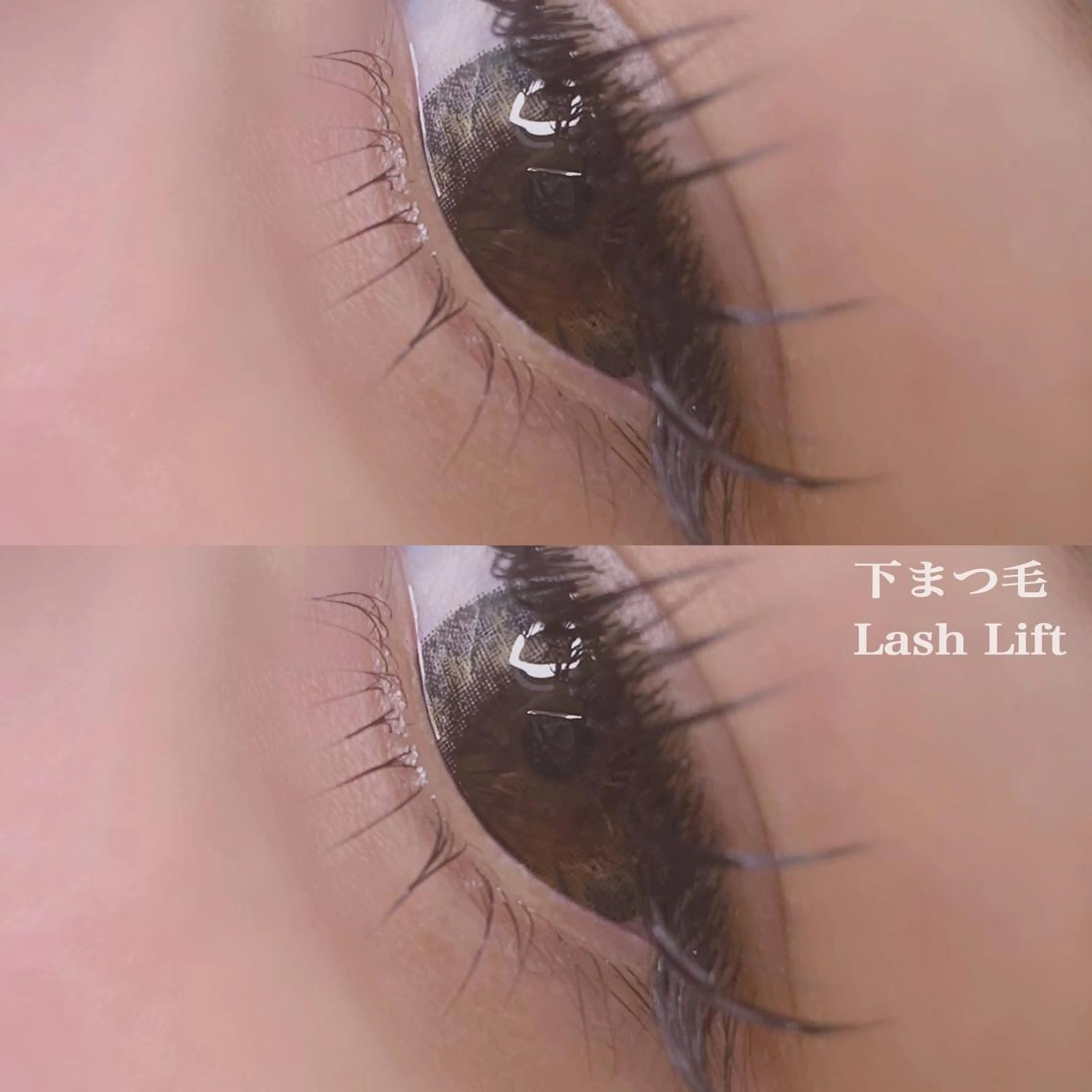 マツエク・マツパ 下まつげエクステ 一重×まつ毛パーマ nail&eyelash muguet所属・muguet akiyoのマツエク・マツパデザイン