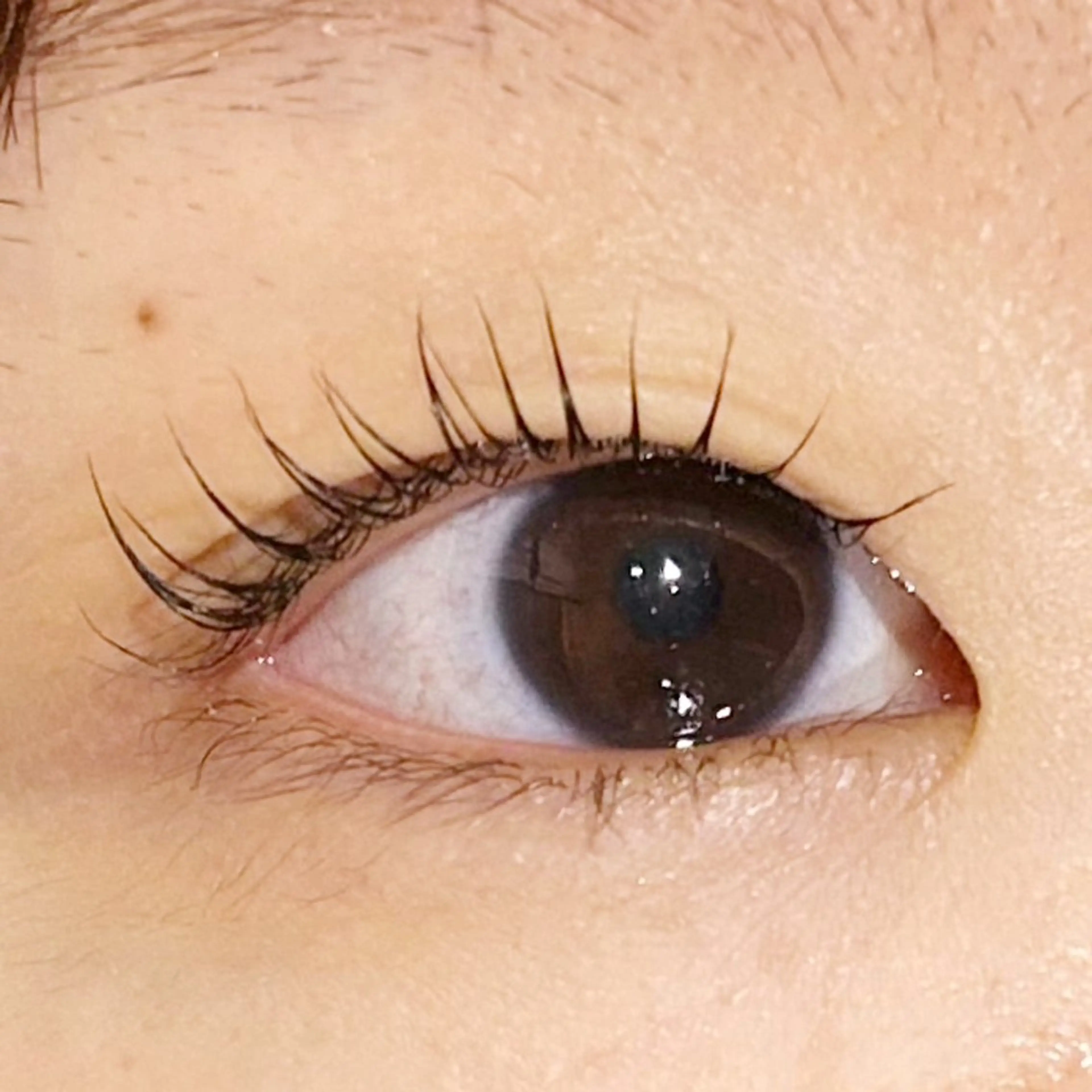 マツエク・マツパ マツパ soposilma 🧸今季OPENのマツエク・マツパデザイン