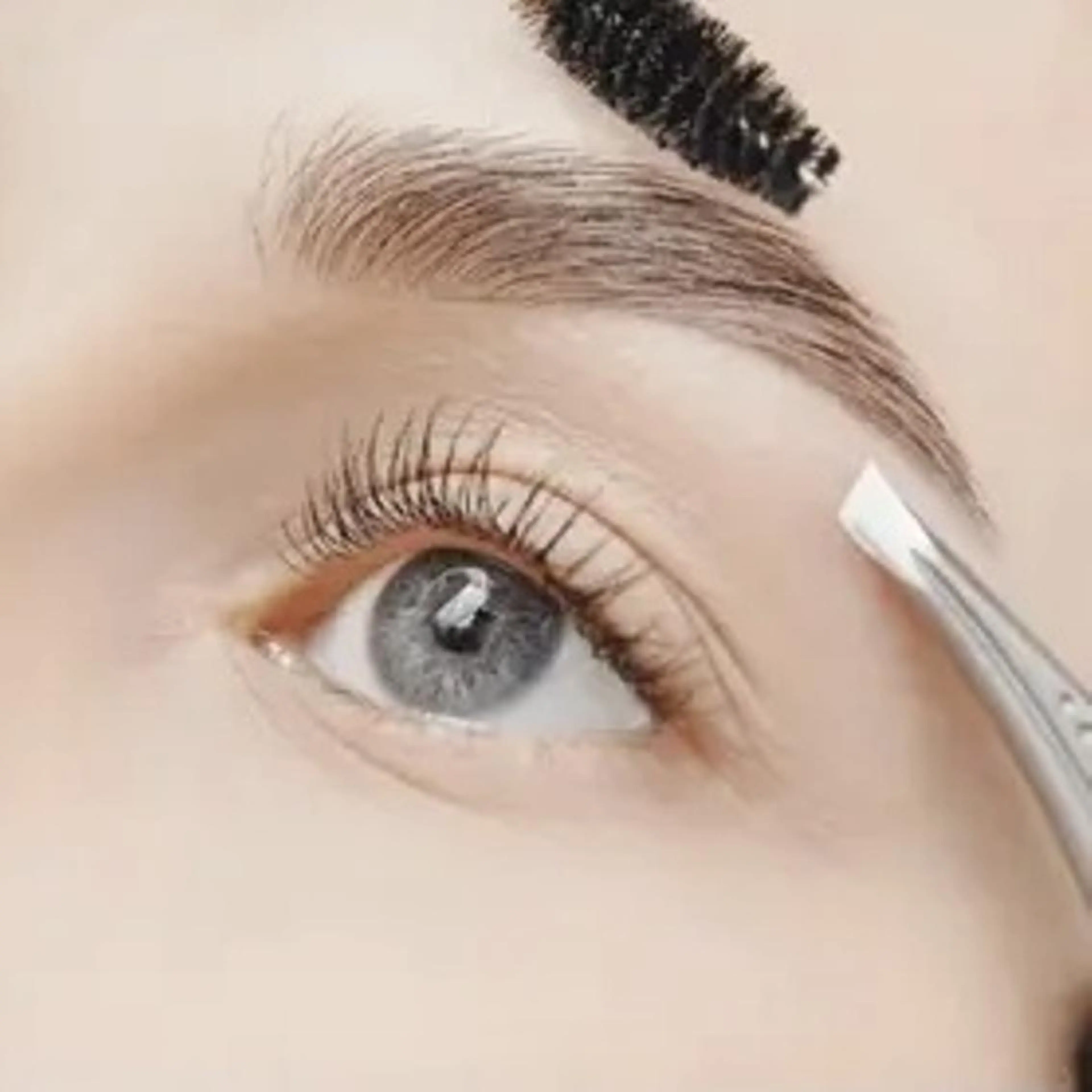 【練習モデル】眉毛waxの写真