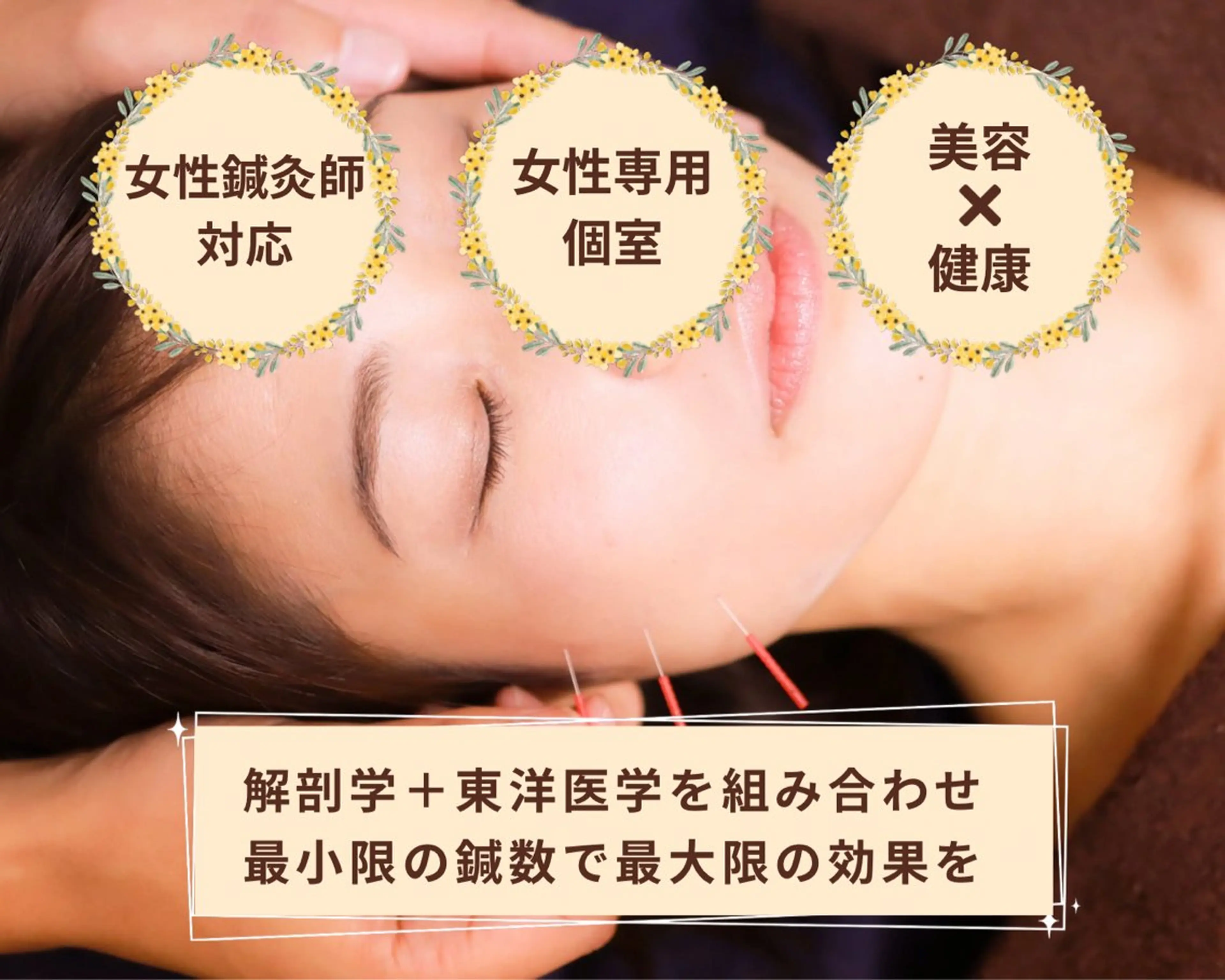 こつこつカメさん。所属・近藤美容 はりきゅう院のエステ・リラクイメージ