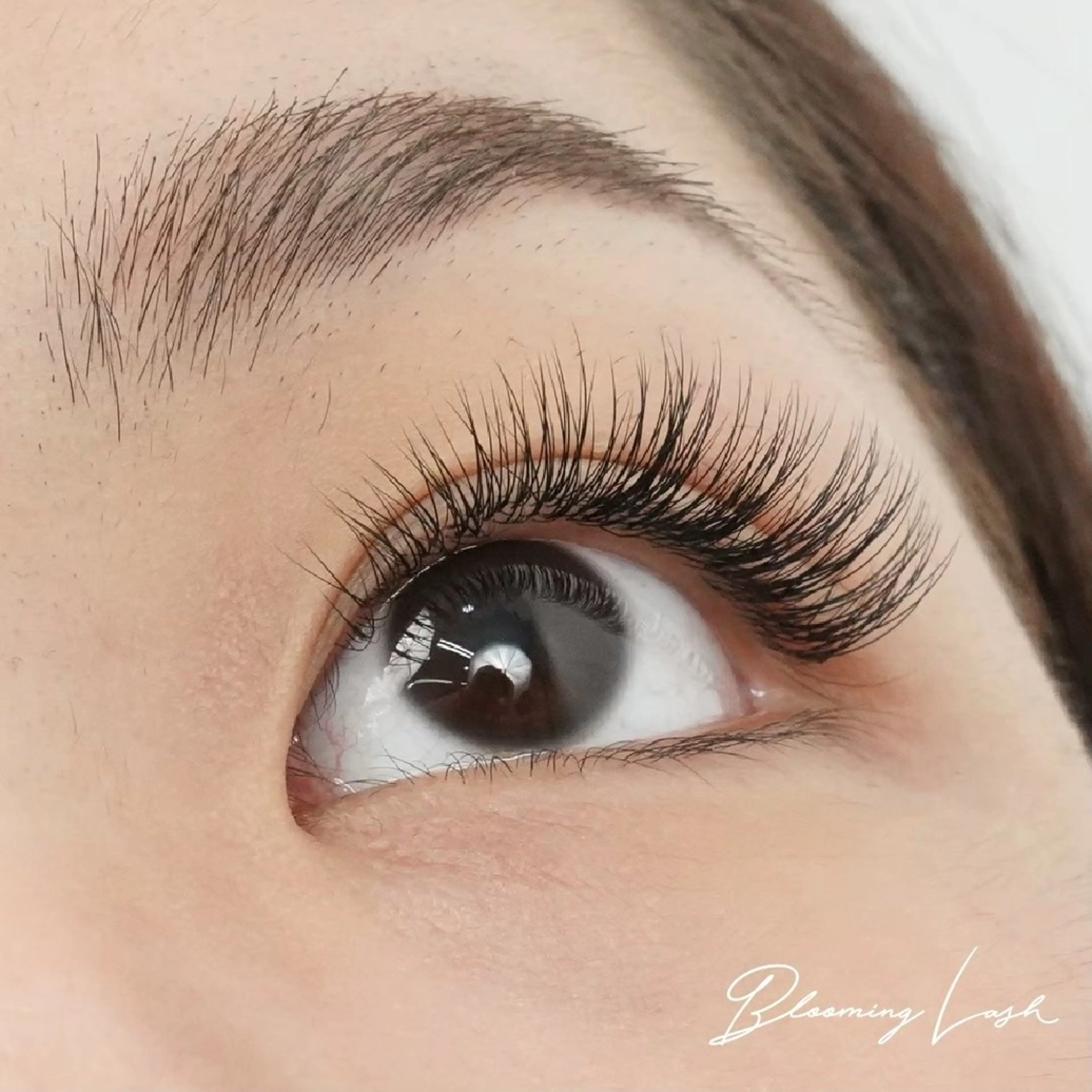 マツエク・マツパ 〖IEN〗Yuka (ユウカ/優香)のマツエク・マツパデザイン