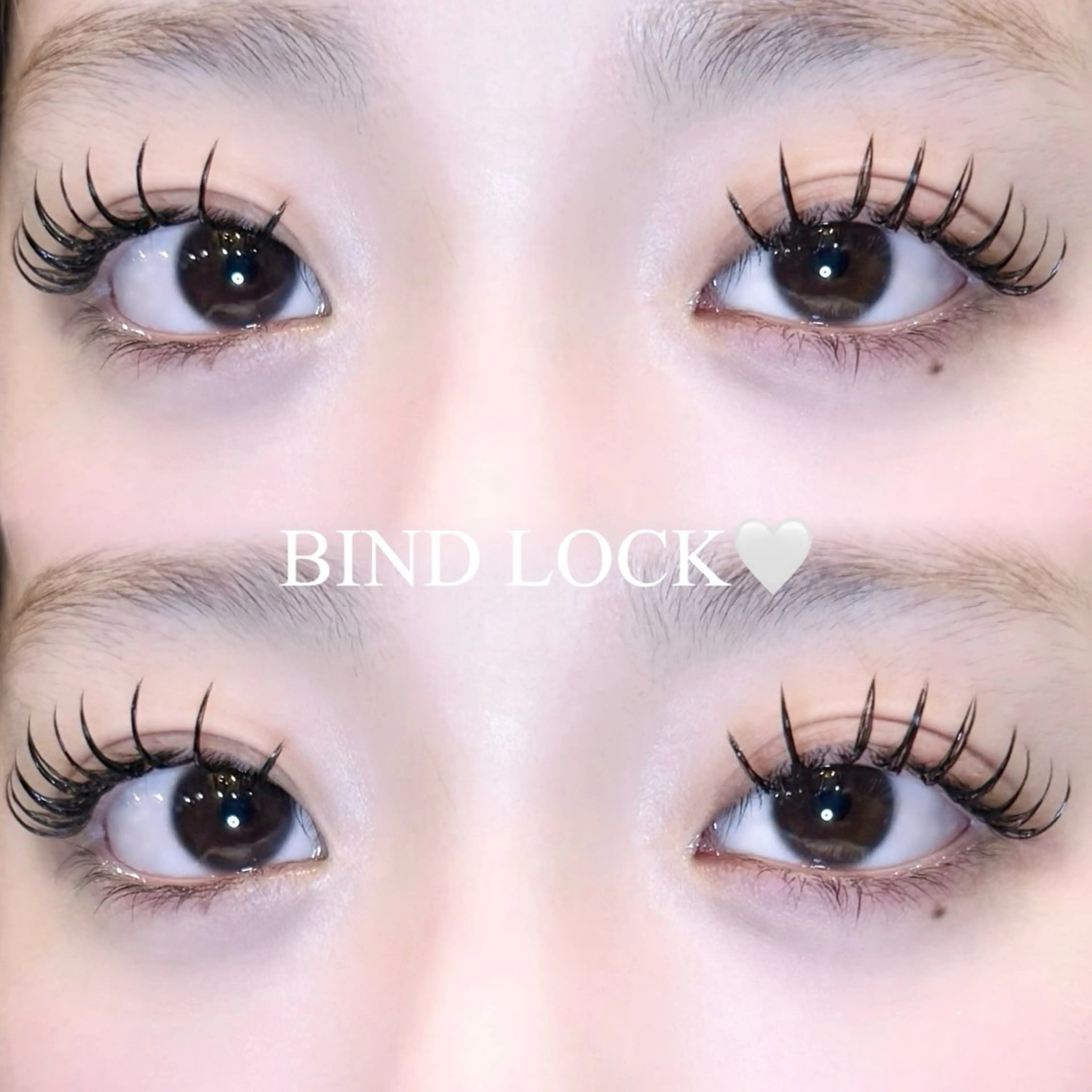 🤍バインドロック🤍60・80束🤍の写真