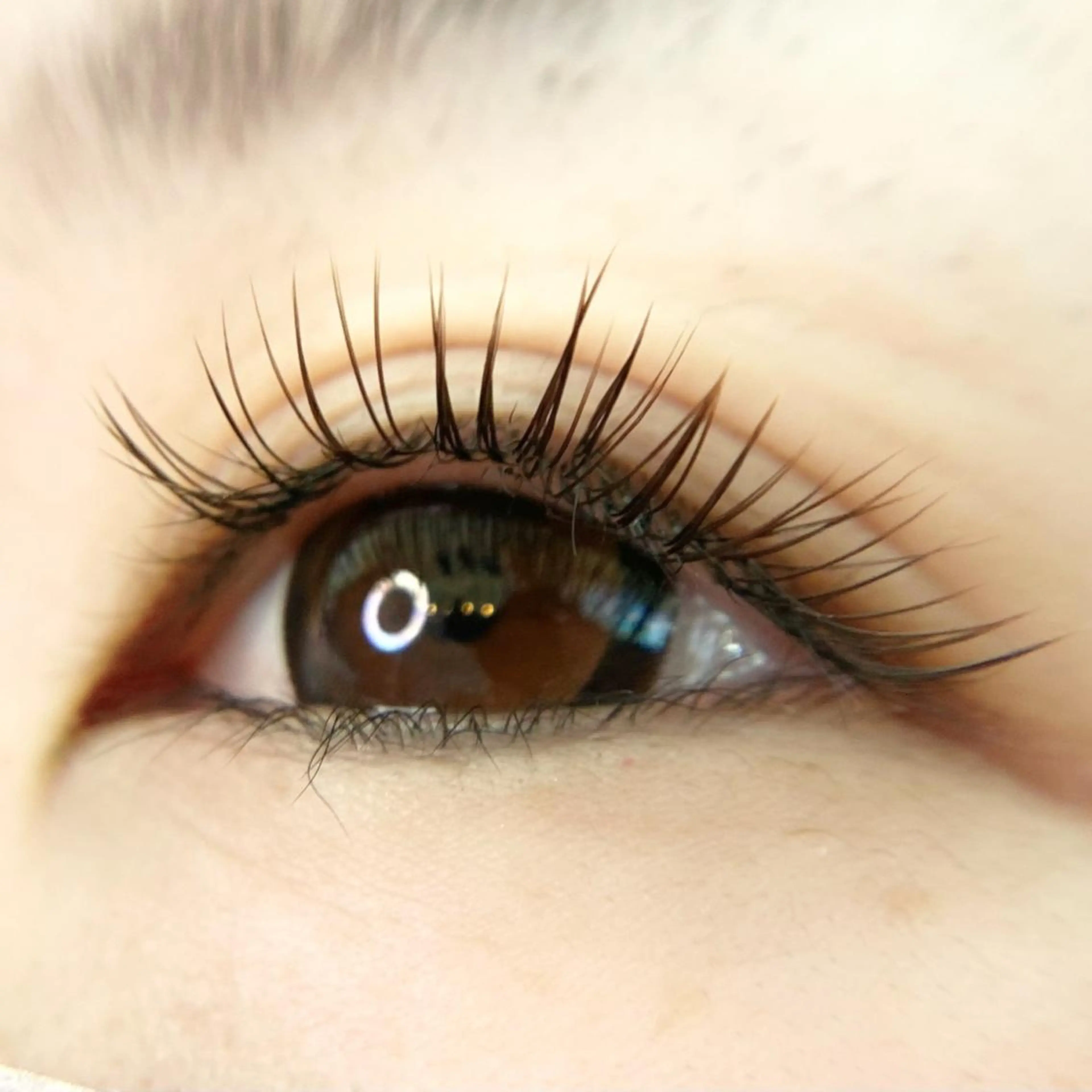 マツエク・マツパ ブラウンラッシュ カラーマツエク マツエク Tielu .eyelash&beauty所属・Tielu. risaのその他イメージ