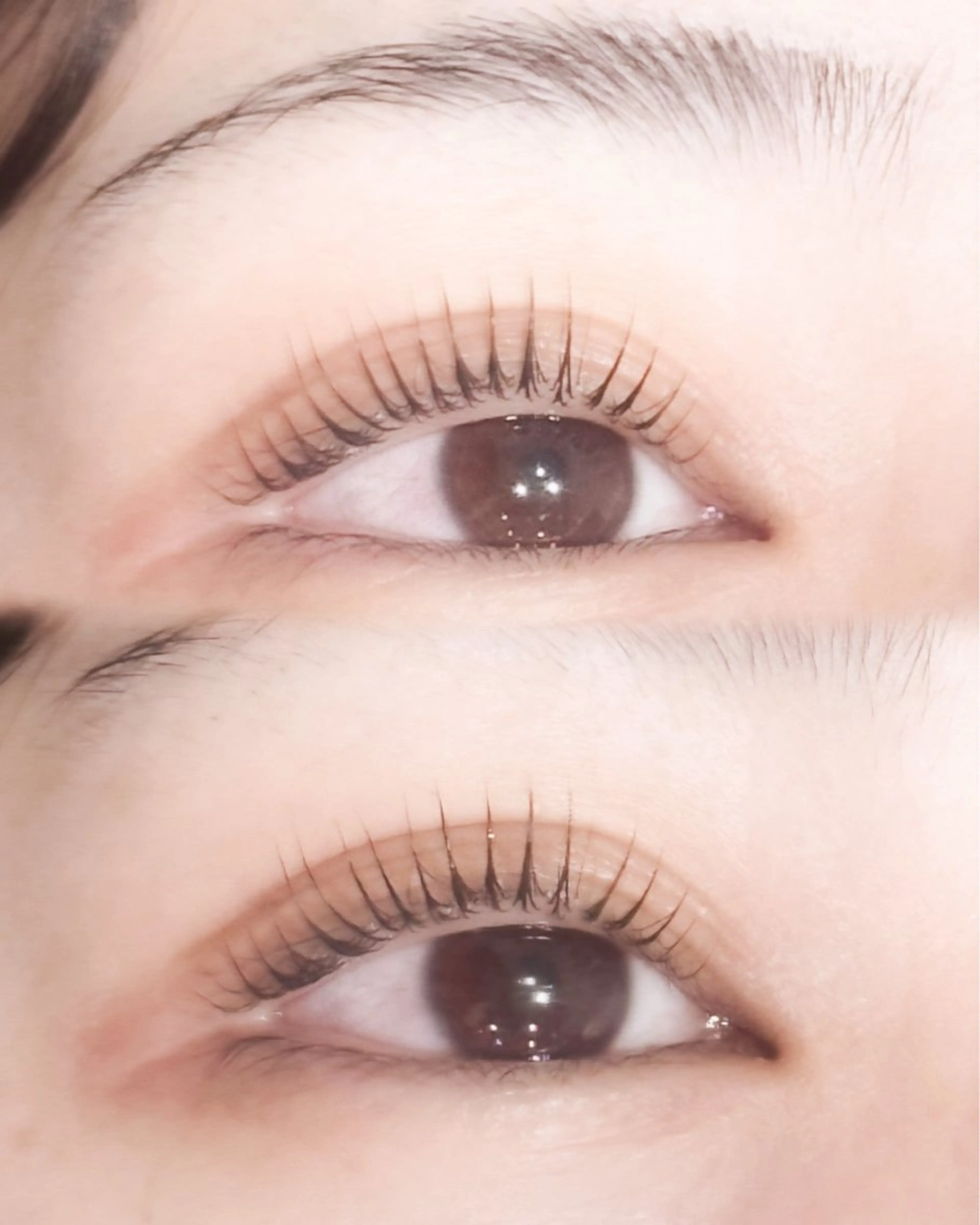 マツエク・マツパ ナチュラル パリジェンヌラッシュリフト マツパ 【The TEN】 🎀marina🎀のマツエク・マツパデザイン