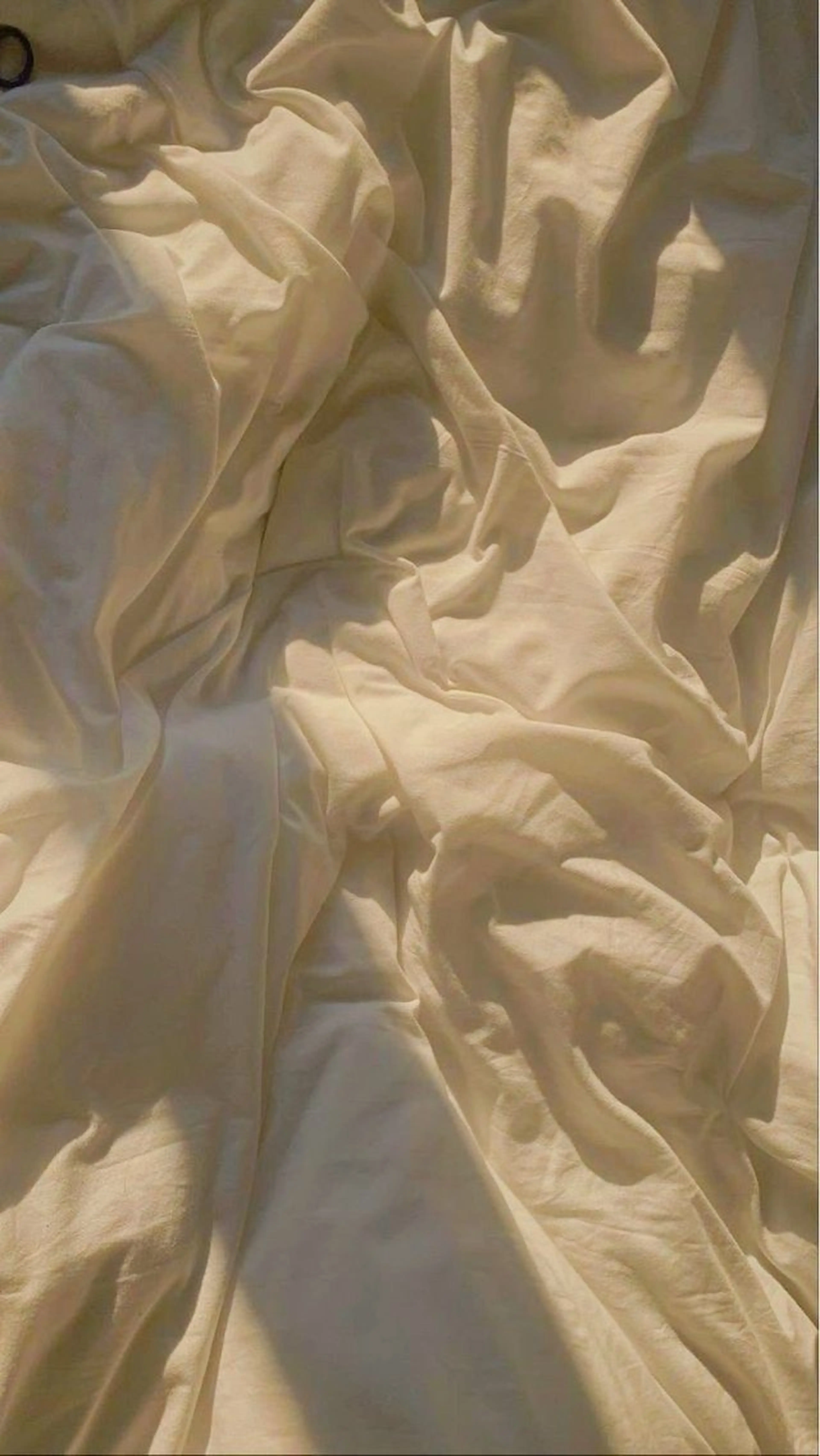 SUNNY 二俣川 yuri🌷のマツエク・マツパデザイン