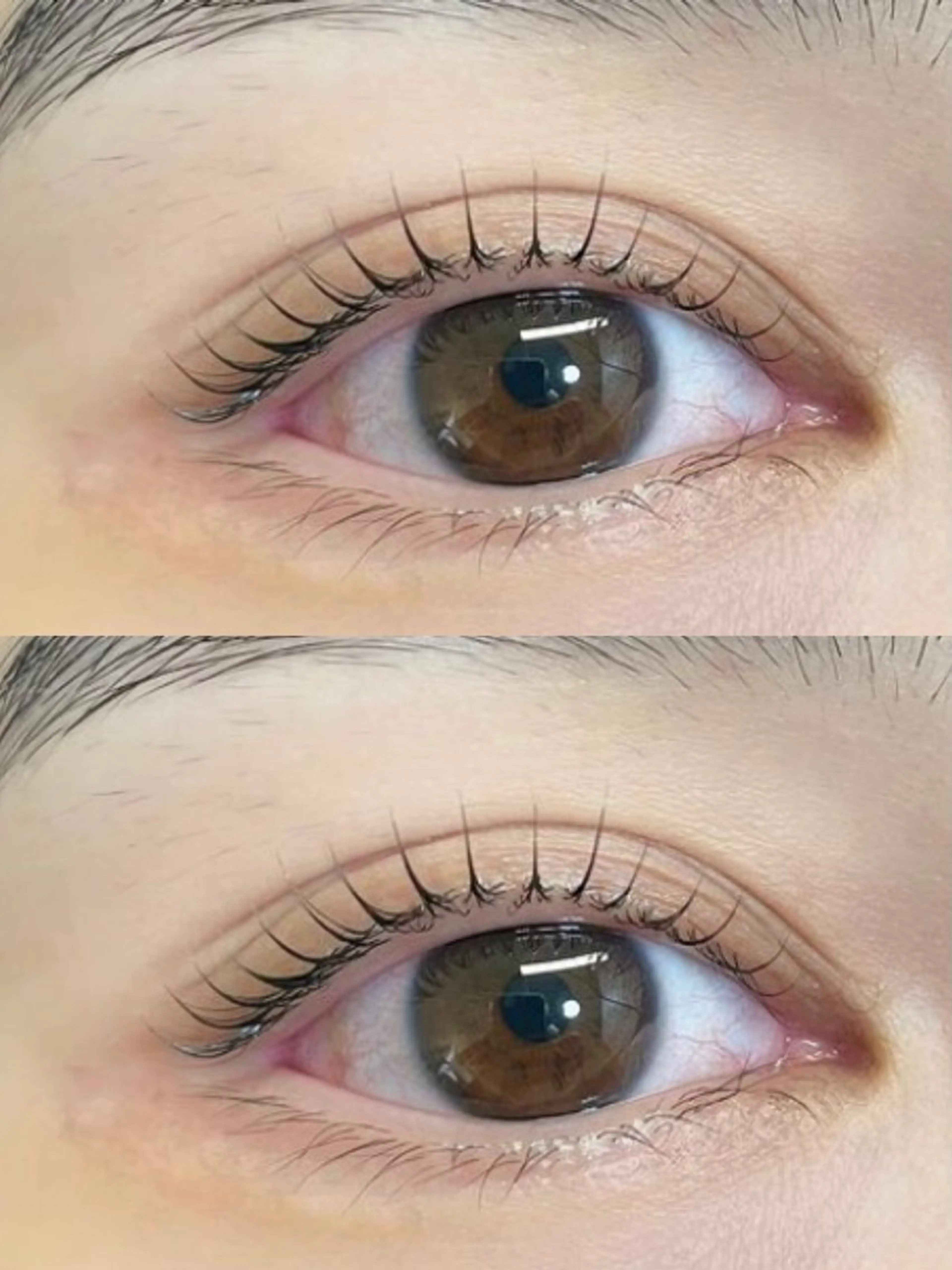 お試し♪SNS話題のブラックティントマスカラパーマ(アイパック➕コーティング剤付)¥5000の写真