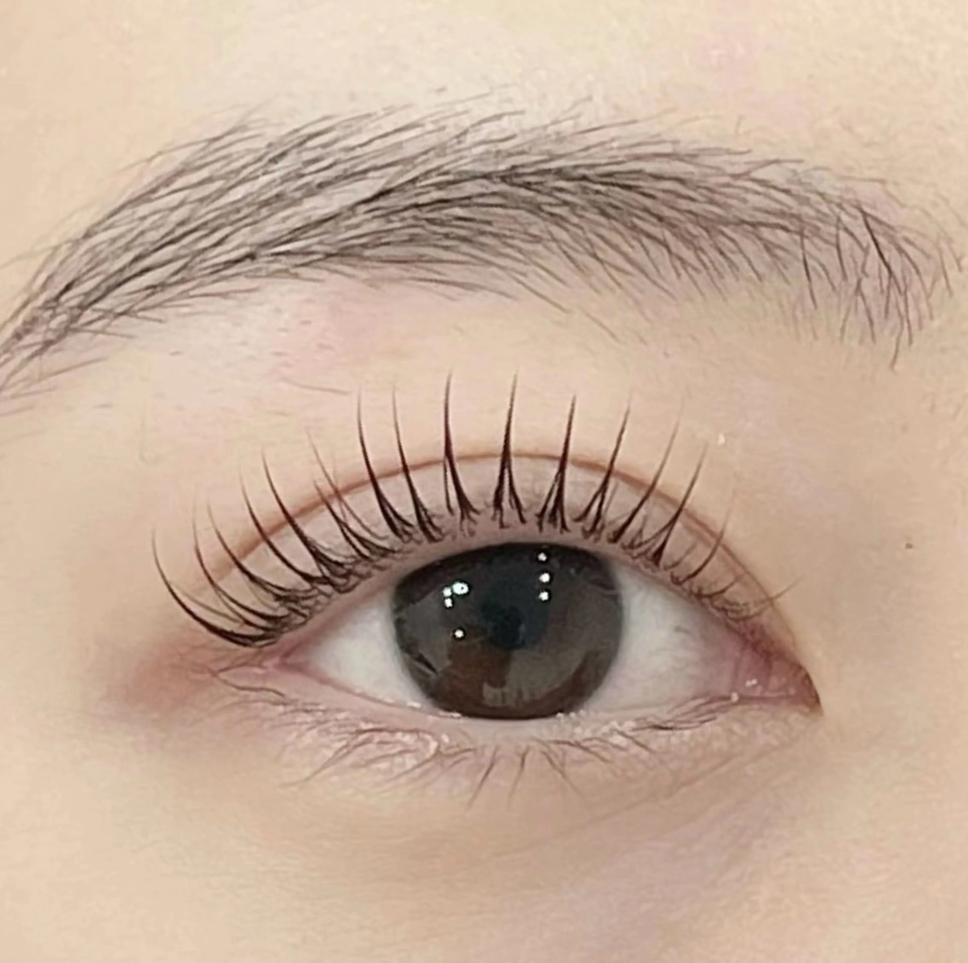 ご新規様!【パリジェンヌ¥6600→¥4500土日祝日/平日16時以降＋1100の写真