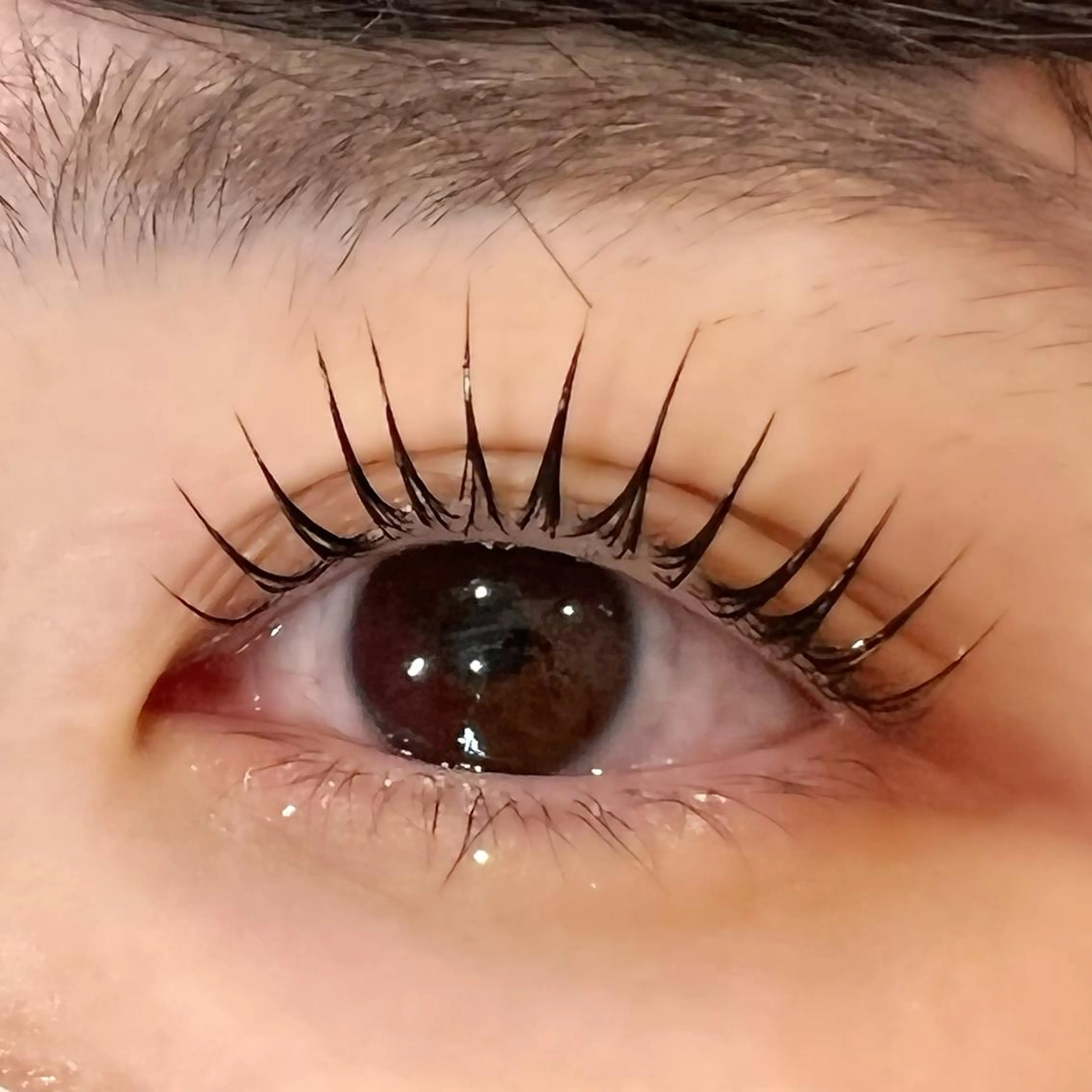 マツエク・マツパ パリジェンヌラッシュリフト Celeste Venus所属・🧸Celeste Venusのマツエク・マツパデザイン