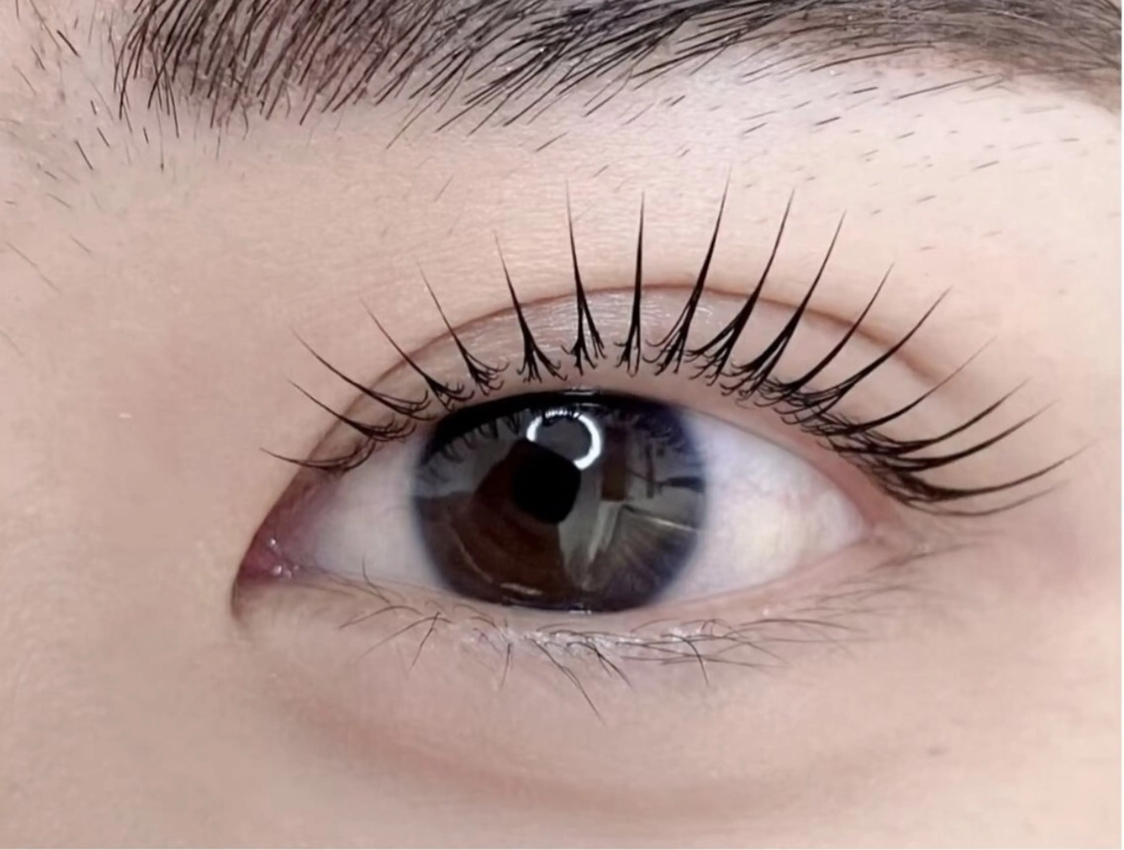 マツエク・マツパ さくら ケイコのマツエク・マツパデザイン