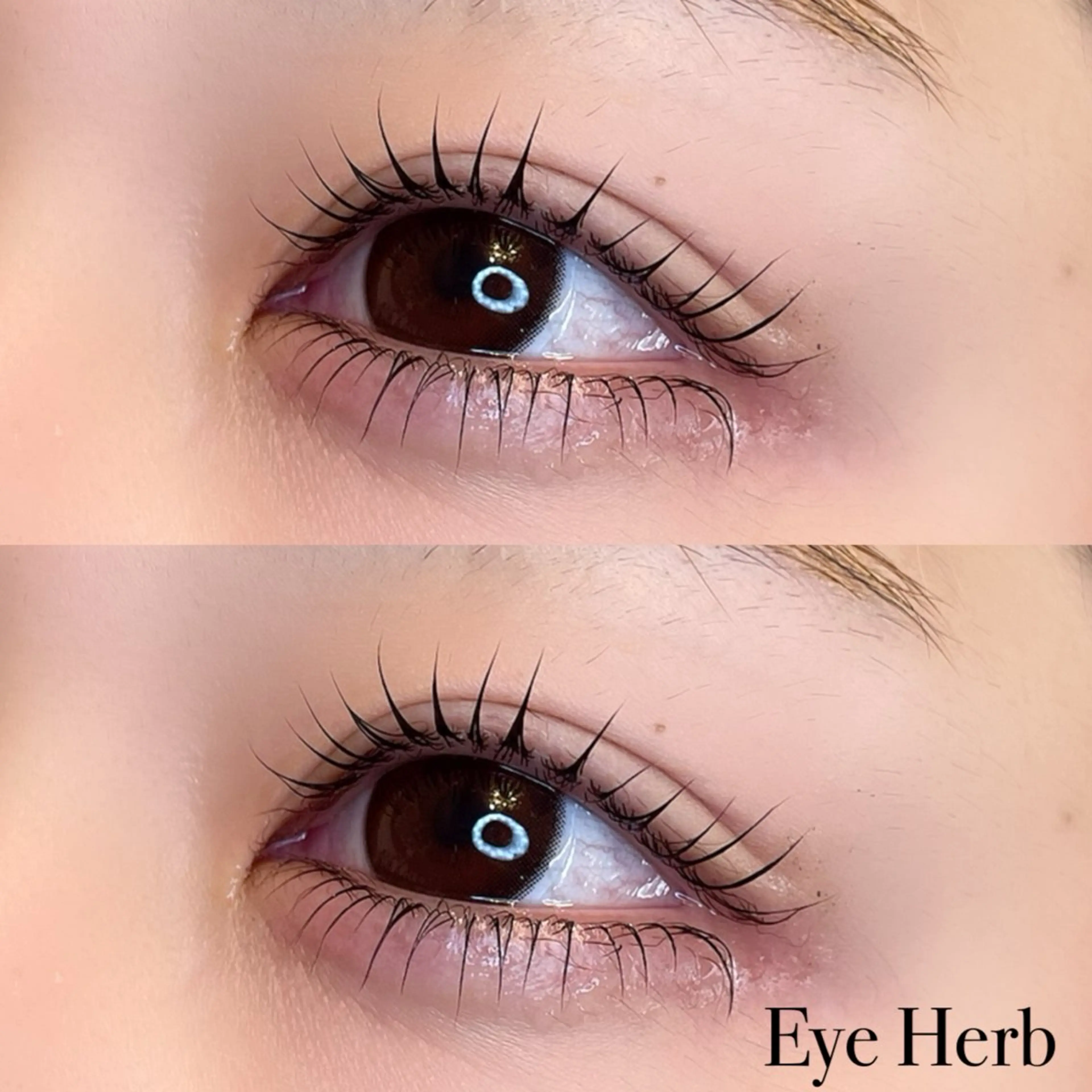 マツエク・マツパ パリジェンヌラッシュリフト Eye Herb beauty salon所属・♡ Mireiのマツエク・マツパデザイン