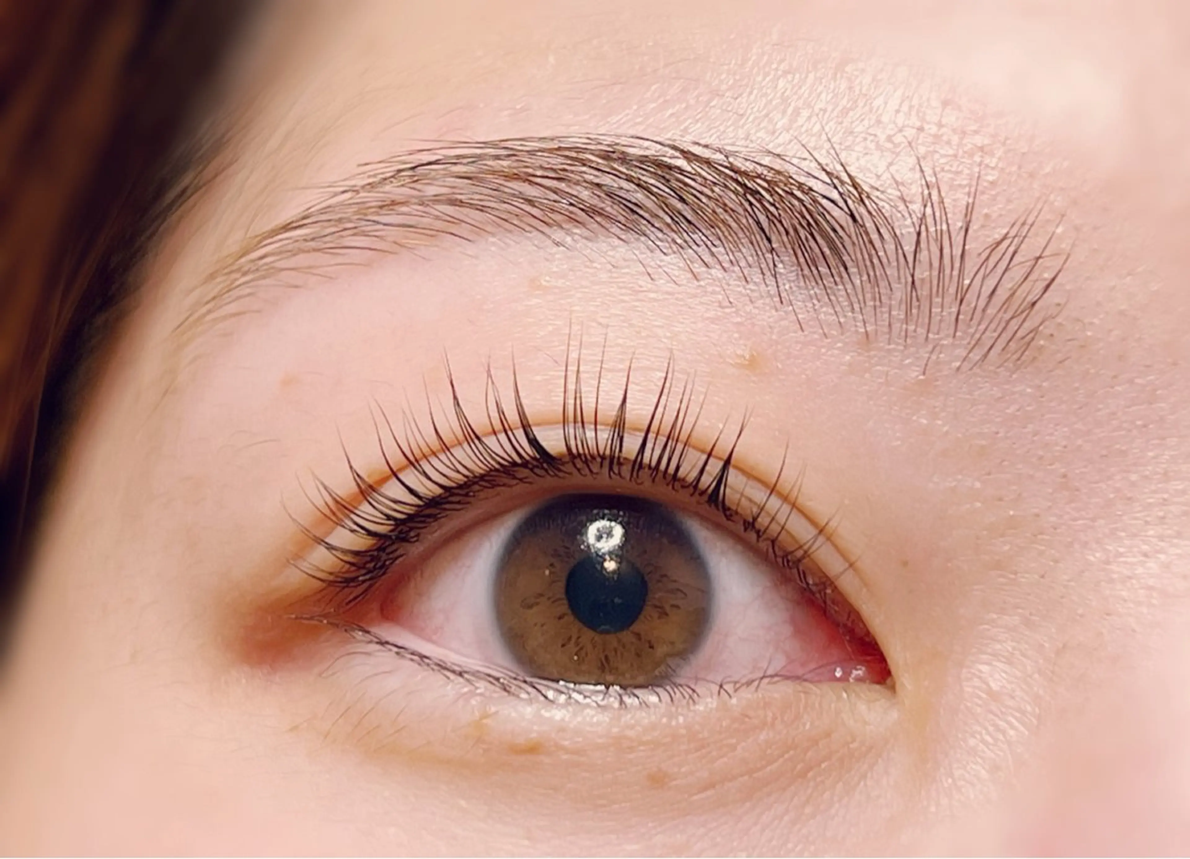 ご新規様クーポン❣️まつ毛パーマ(高濃度ケラチントリートメント付き)の写真