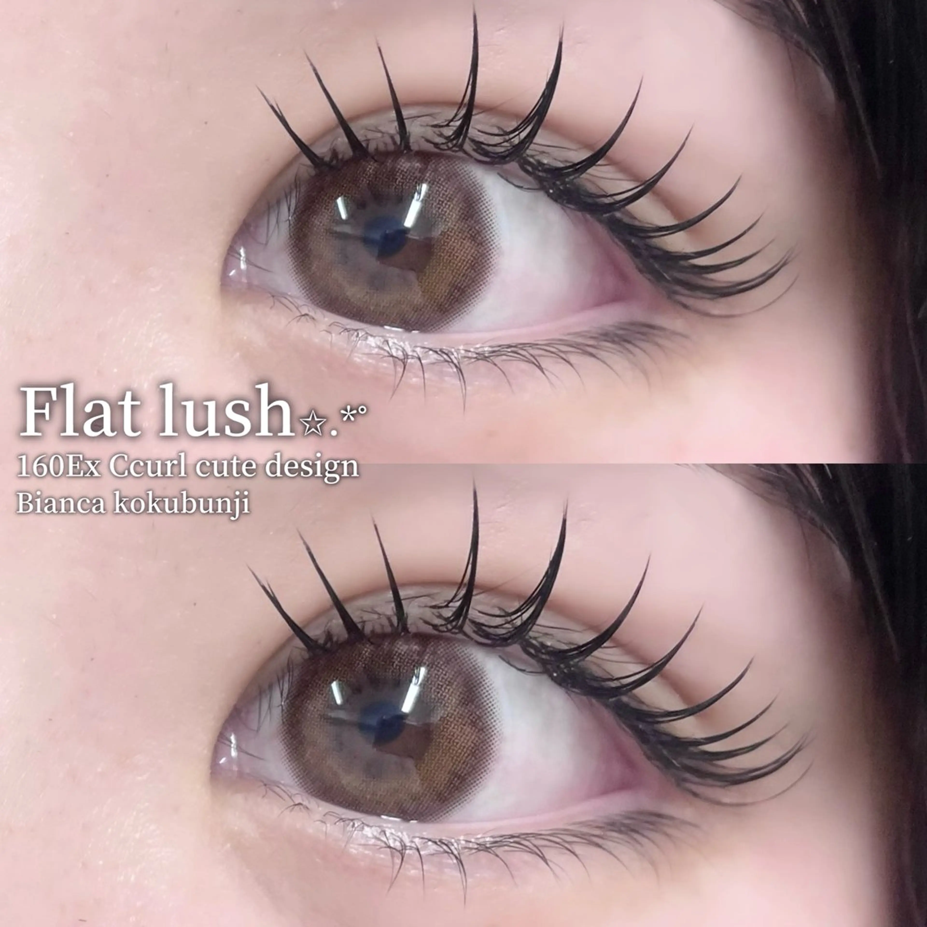 マツエク・マツパ フラットラッシュ マツエク 🩶Bianca 副店長ハシモト🩶のマツエク・マツパデザイン