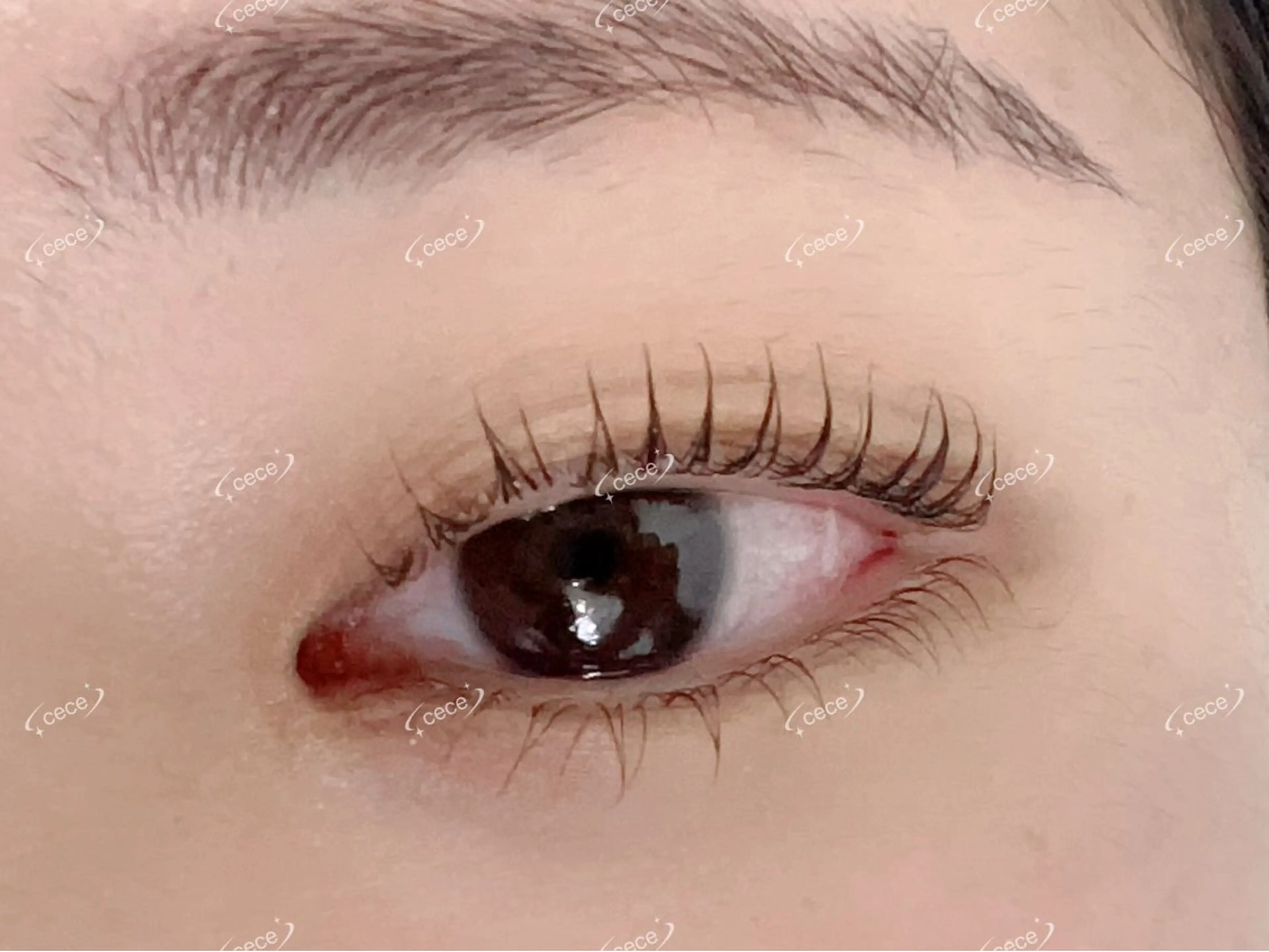 パーマ 人気店🌸Ce Ce マツエク＆ネイルのマツエク・マツパデザイン