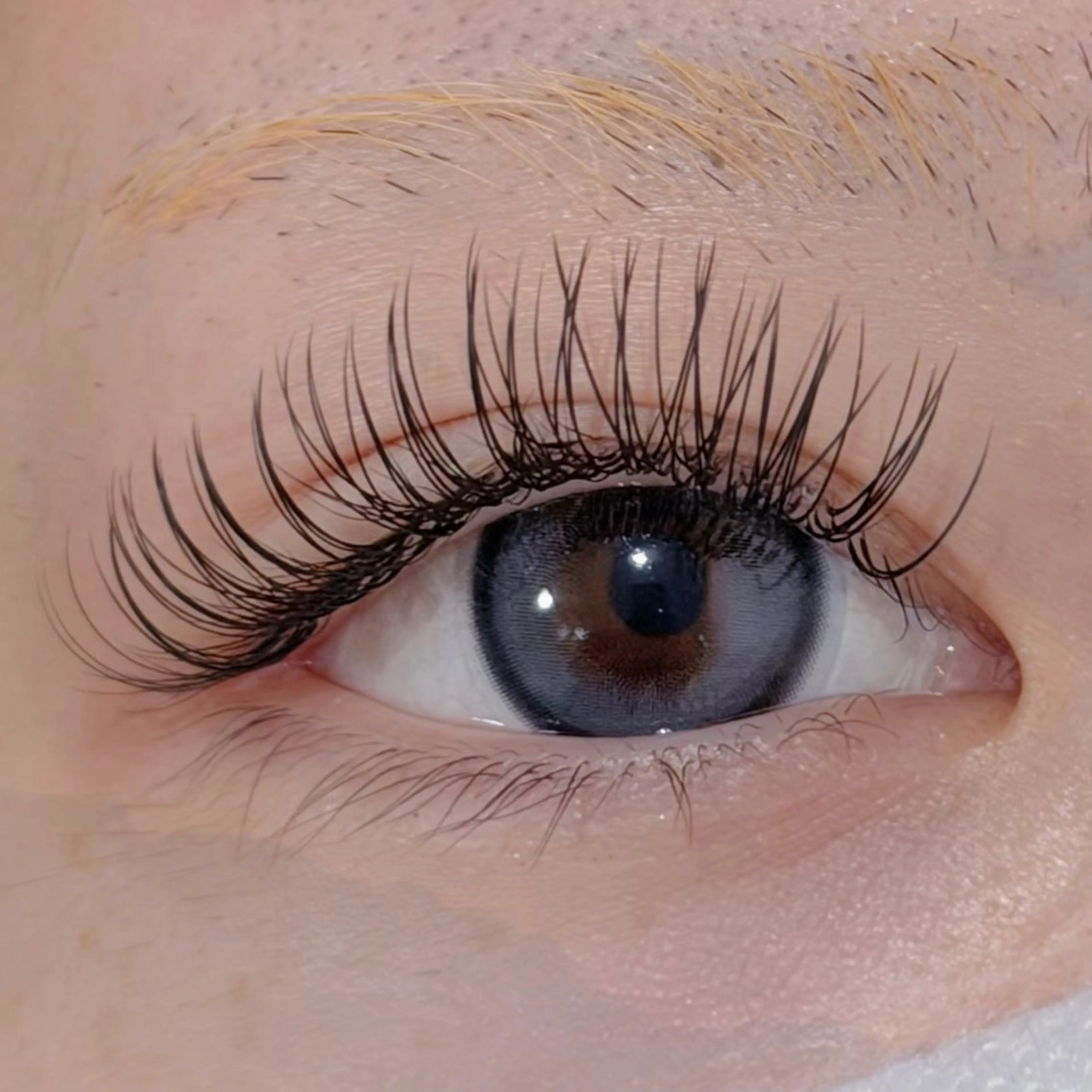 マツエク・マツパ Lil by Fan. 菊池のマツエク・マツパデザイン