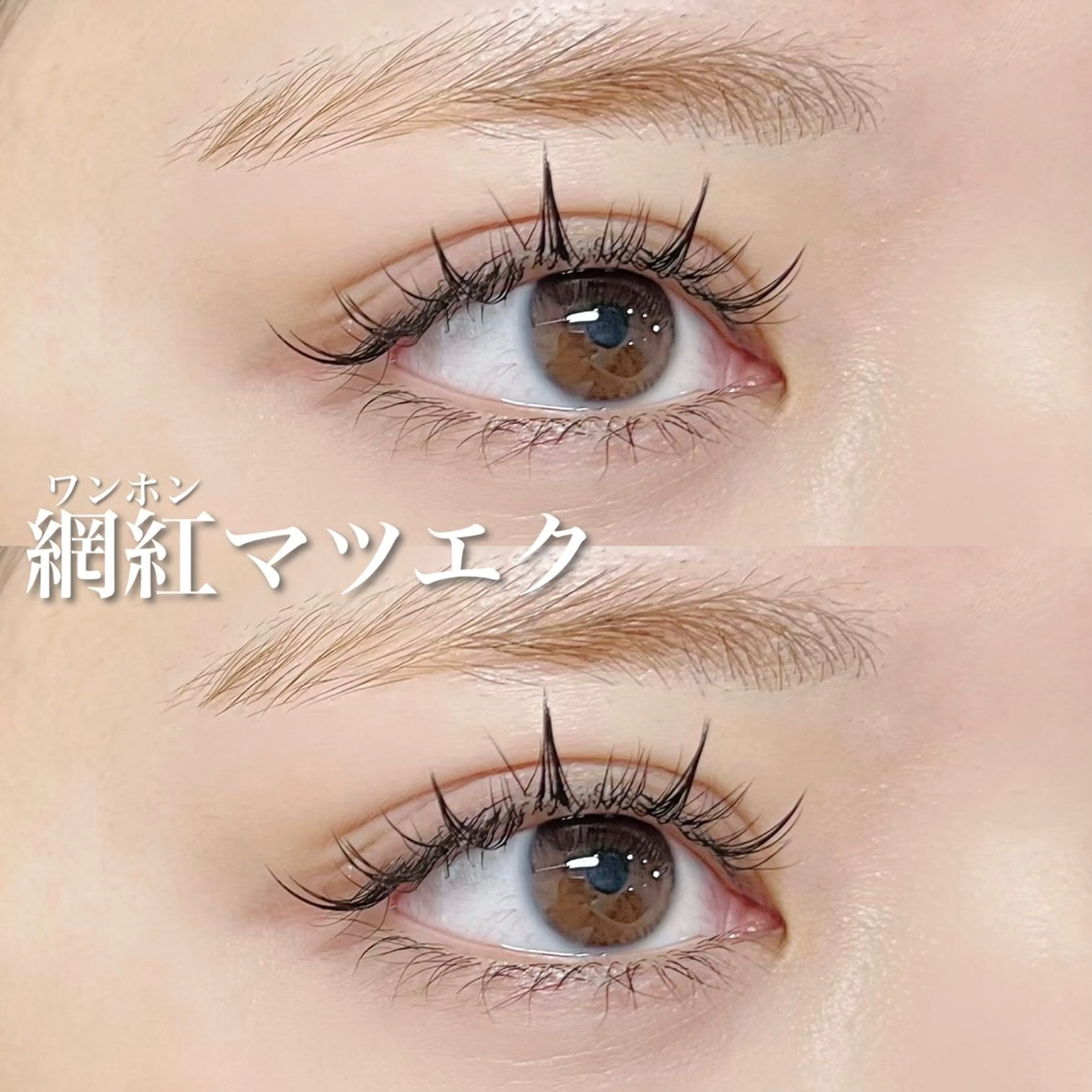 マツエク・マツパ ワンホンマツエク signpost 🕊️小林のマツエク・マツパデザイン