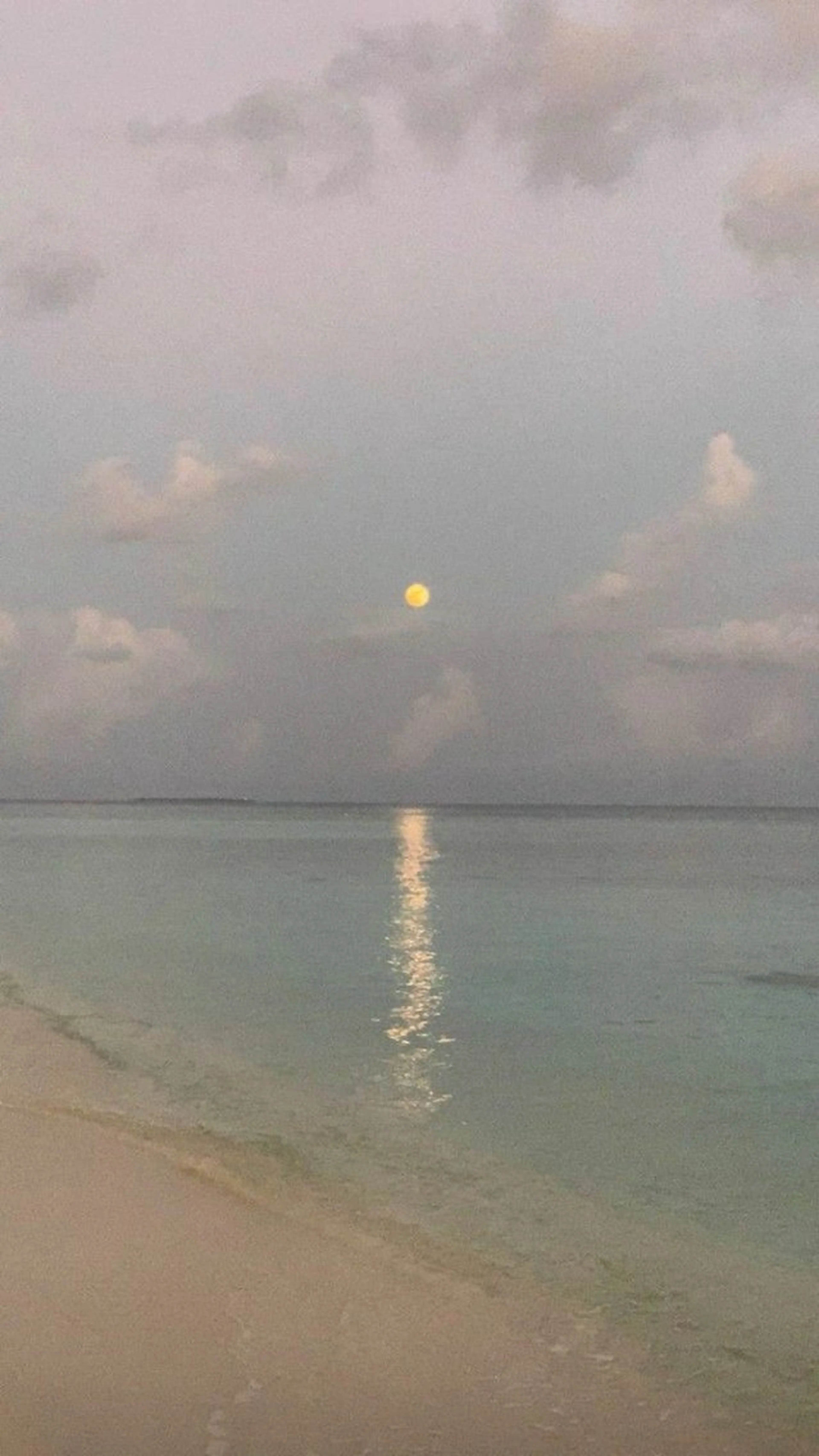 ☘️ボリュームラッシュ500本【再来+¥500】の写真