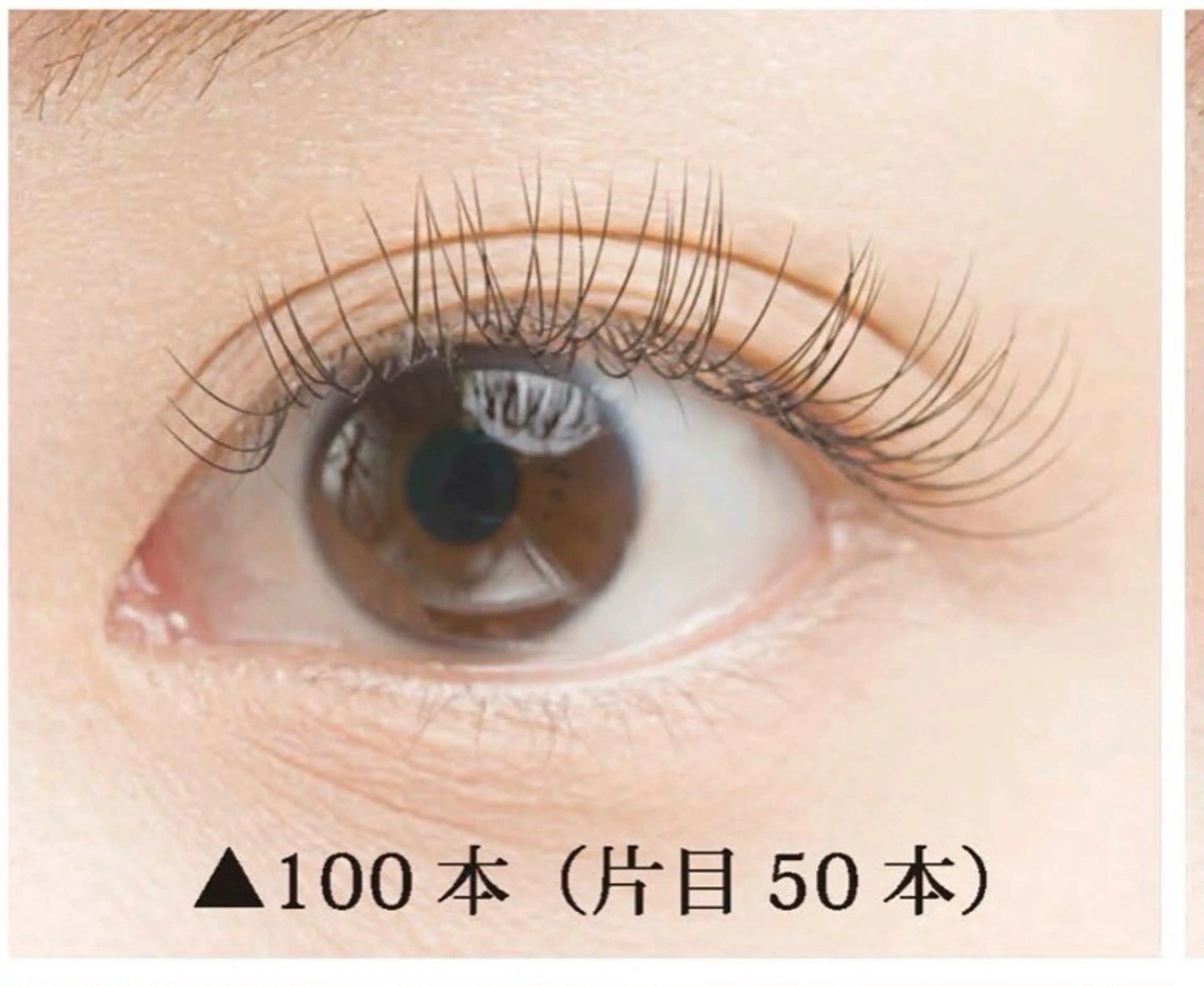 マツエク・マツパ marry 立川店所属・Marry Nara🎀のマツエク・マツパデザイン