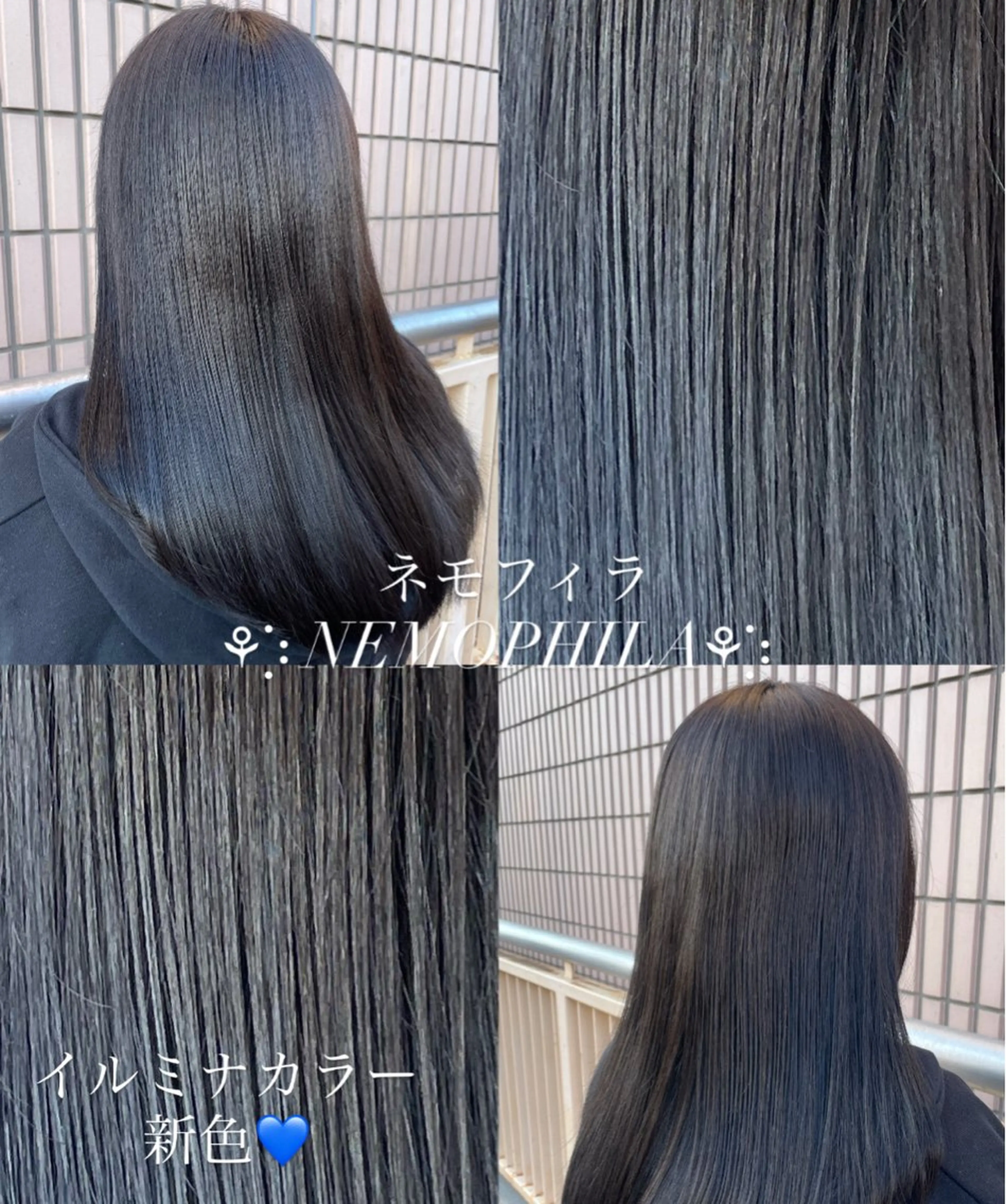 セミロング カラー カット ヘアカラー ヘッドスパ 【tico】 Chihoのマツエク・マツパデザイン