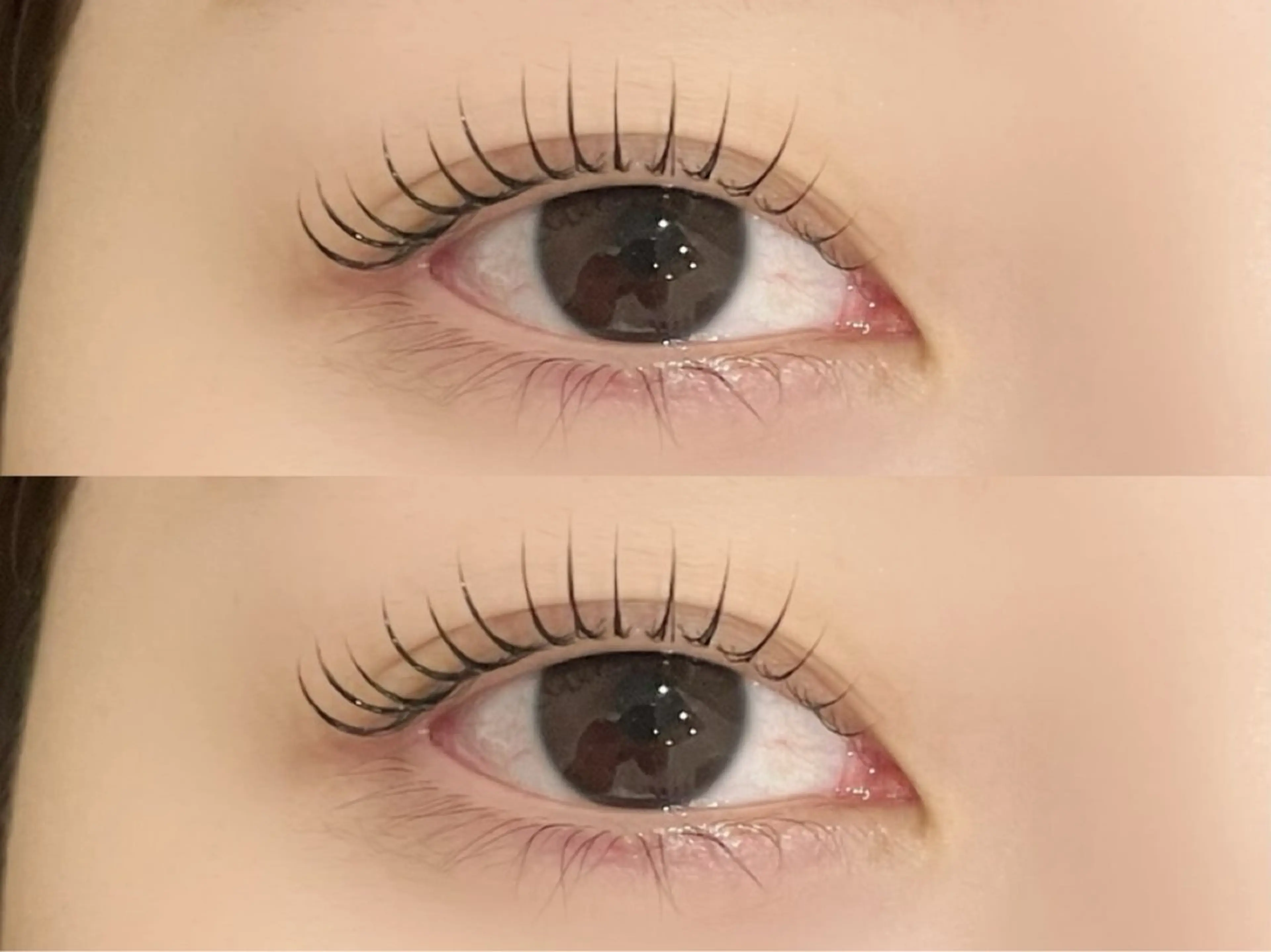 【平日限定】🌸パリジェンヌorまつげパーマ🌸+ケアTr付き/コーティング仕上げの写真
