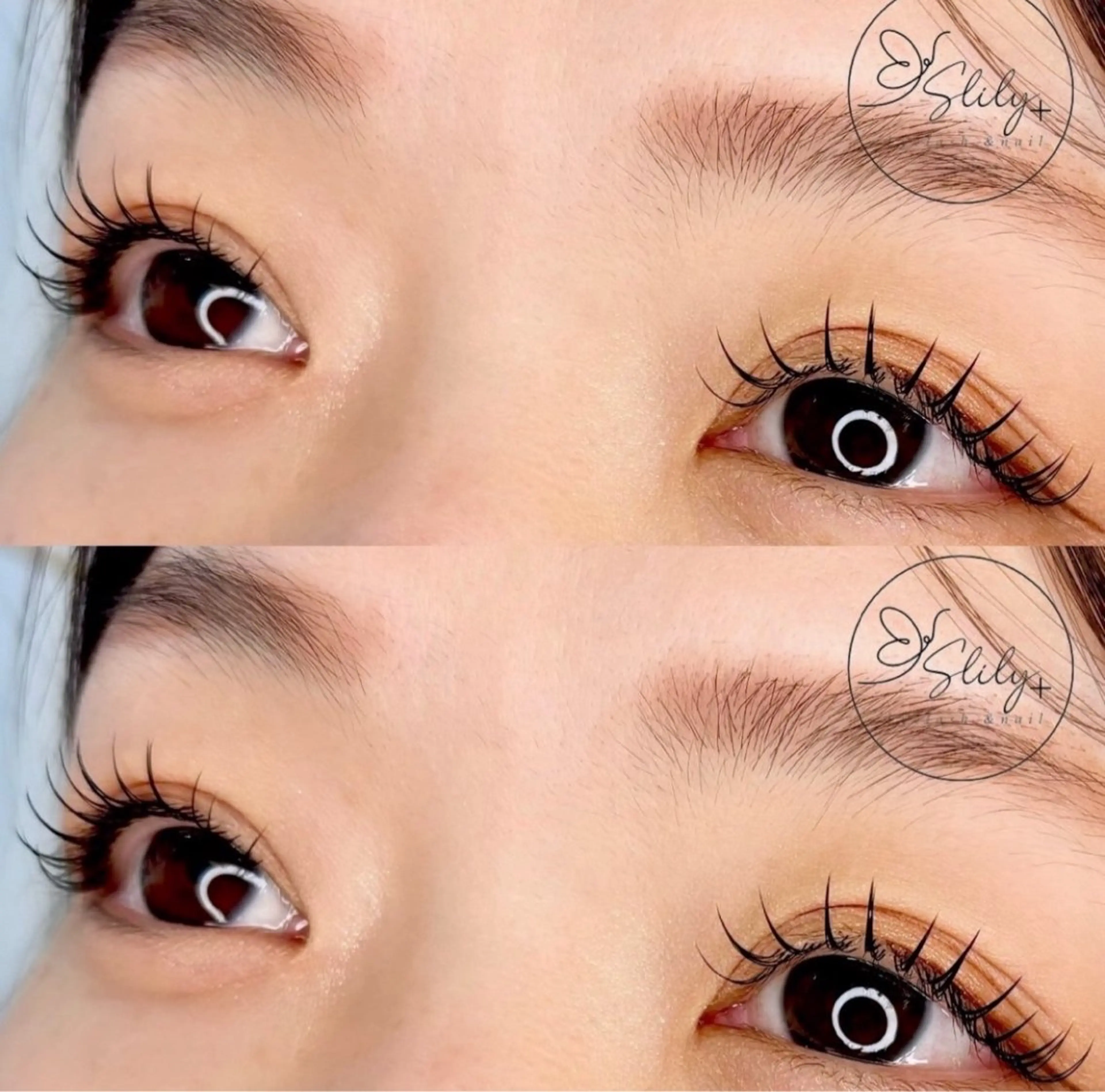 《期間限定》フラットラッシュ120本【オフ込】の写真