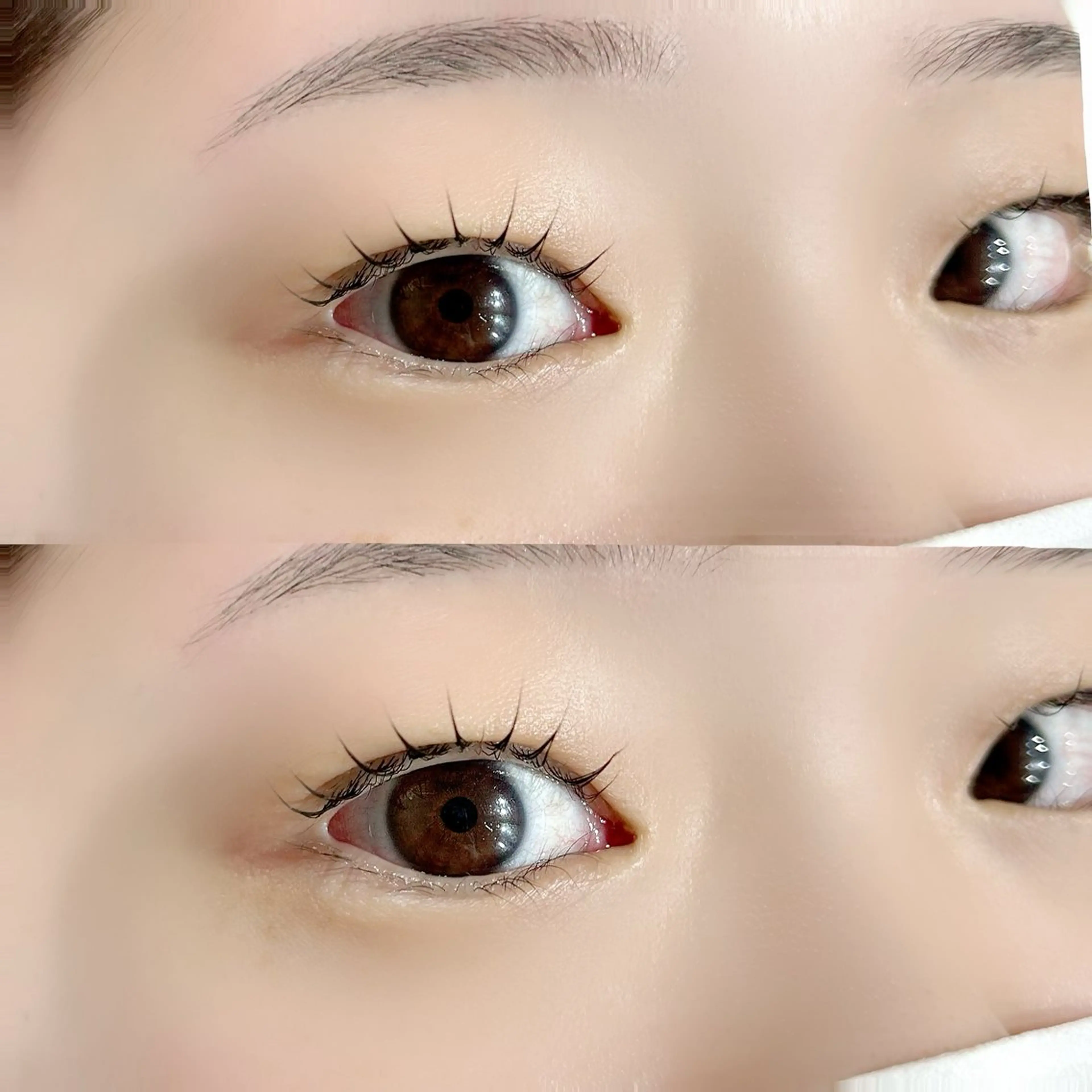 マツエク・マツパ Lnature 【完全個室】熊本上通の眉毛・アイブロウイメージ