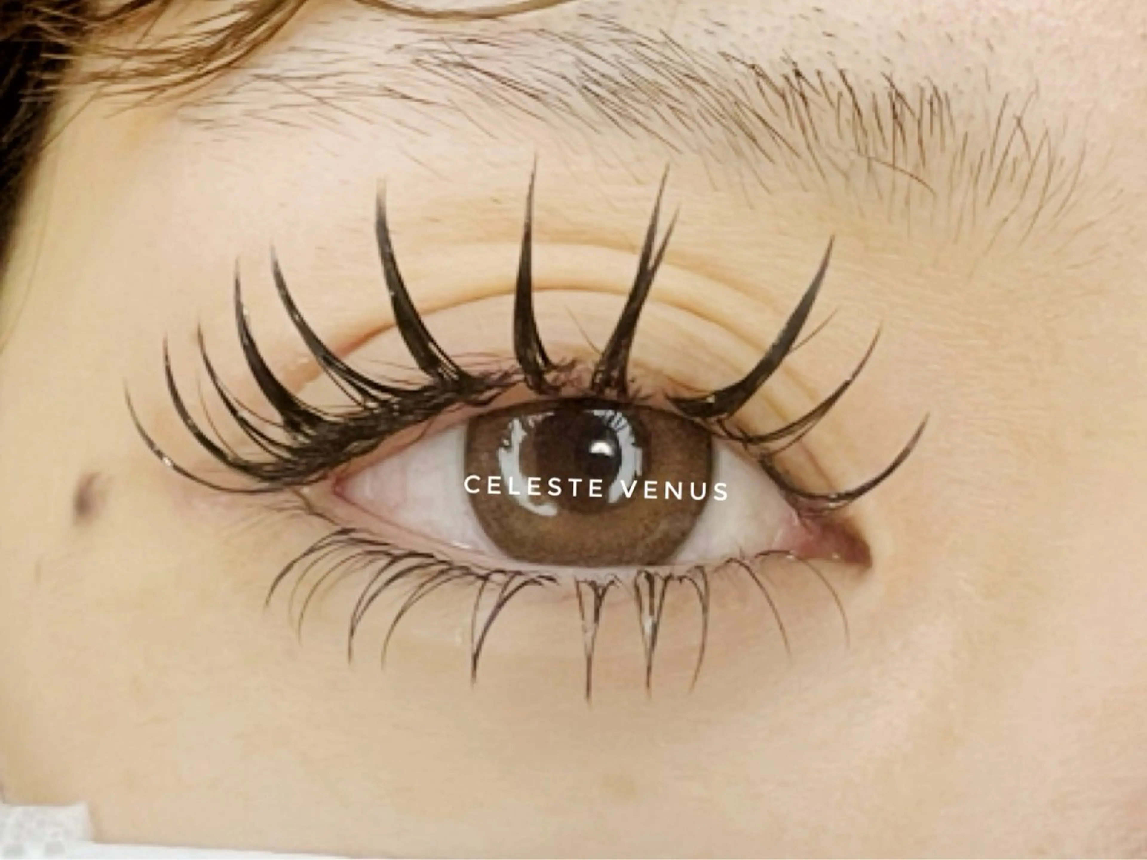 マツエク・マツパ 付け放題 バインドロック 下まつげエクステ マツエク Celeste Venus所属・🧸Celeste Venusのマツエク・マツパデザイン