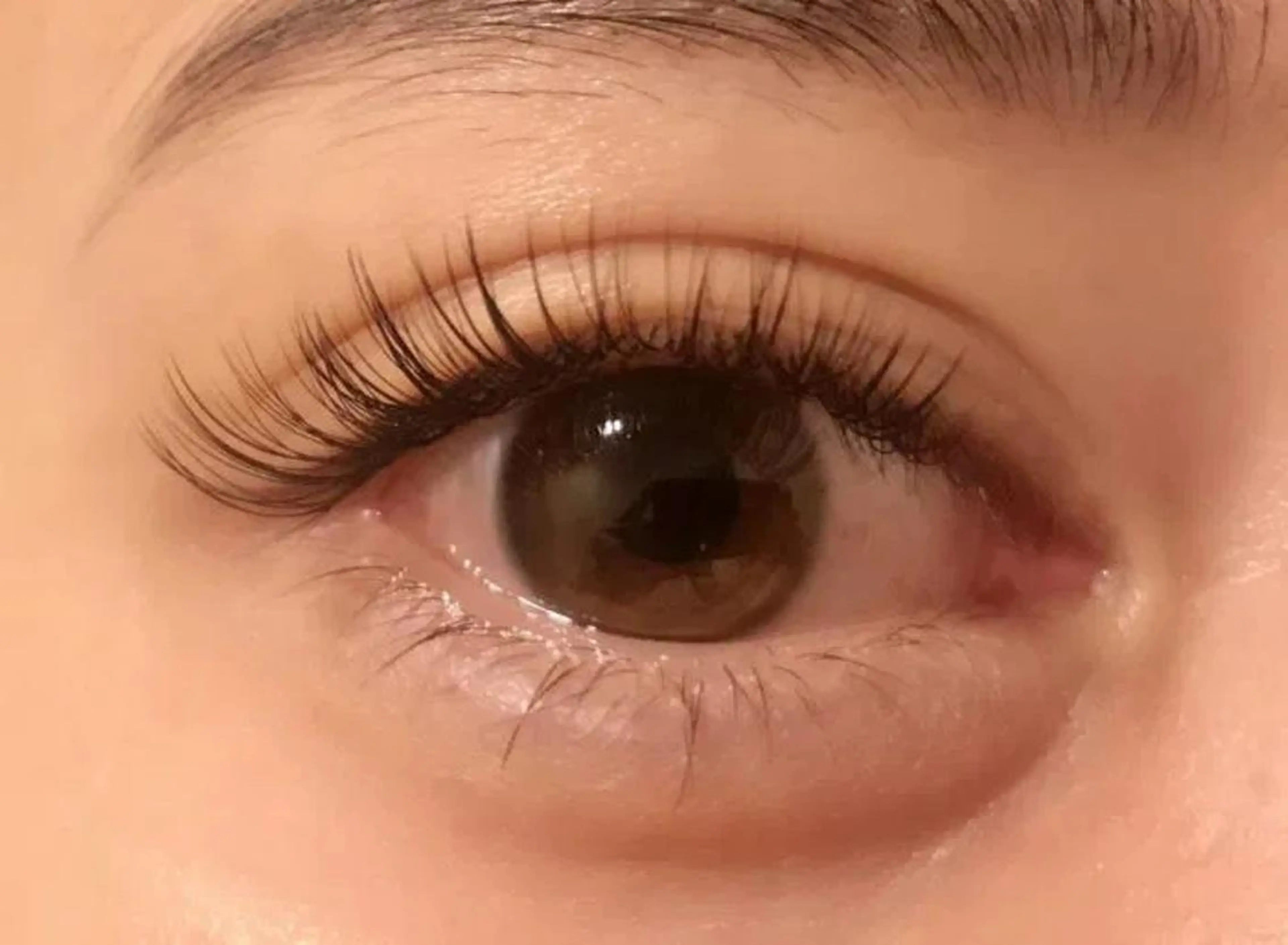 マツエク・マツパ 【Aile】 YUKAのマツエク・マツパデザイン