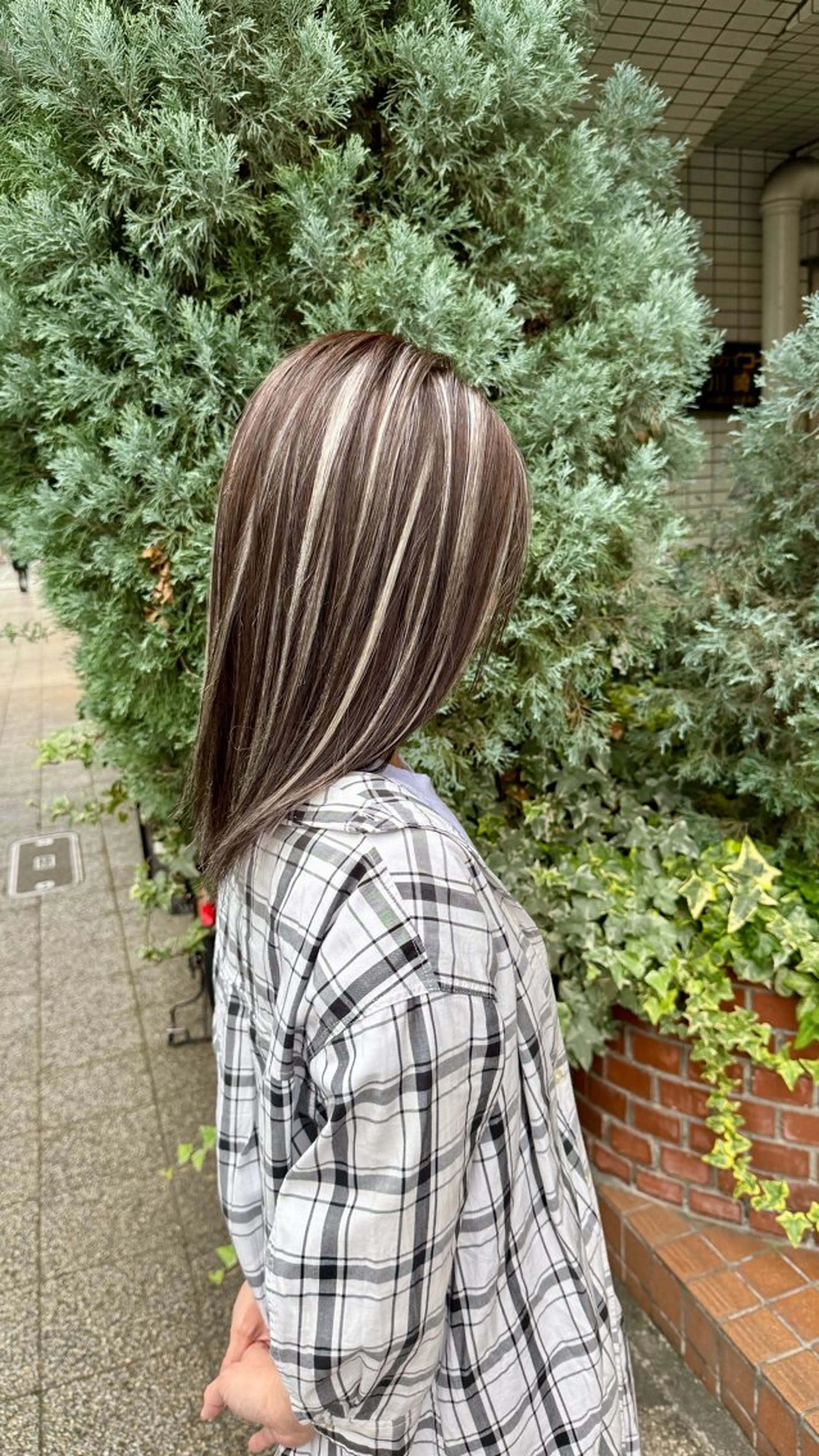 ミディアム ハイライト ヘアカラー トリートメント Cure2所属・🌈白いハイライト 🌈 🐶ノザワ🐶のヘアスタイル