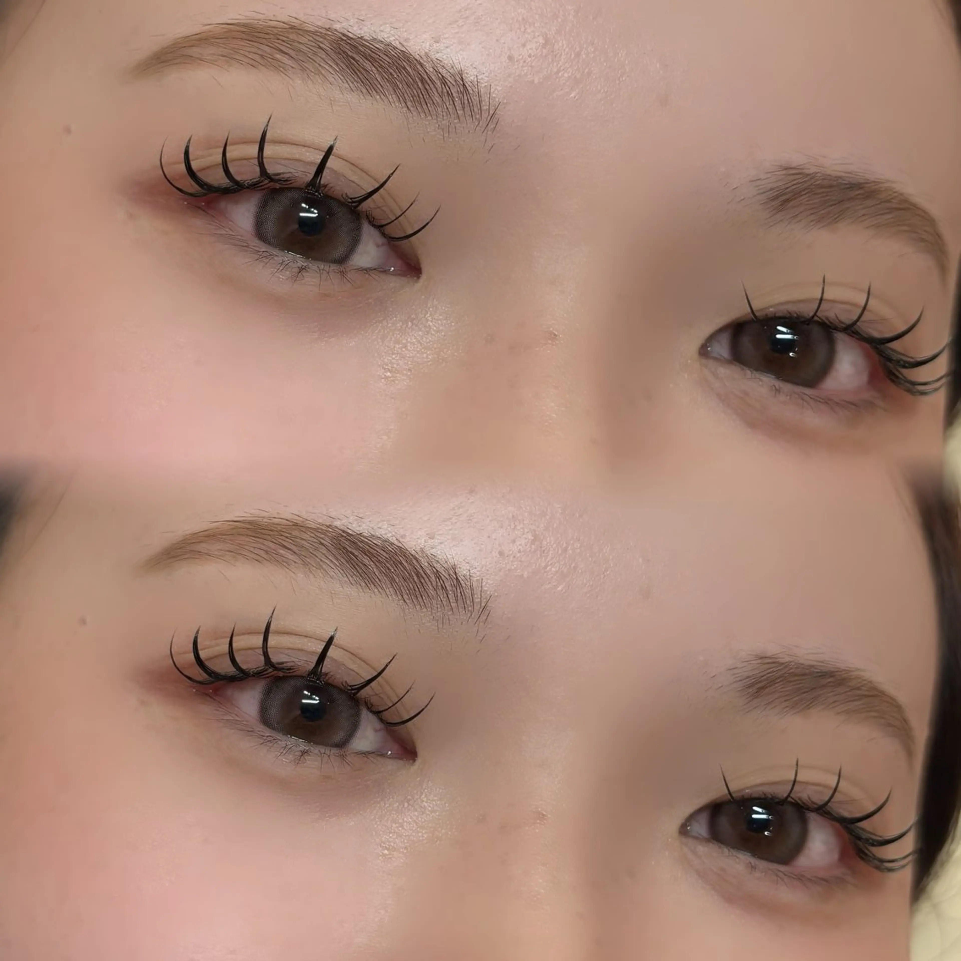 ããšã¯ã¹ãðããã«ãã©ããã©ãã·ã¥60æïŒ120æ¬ïŒãã®åç