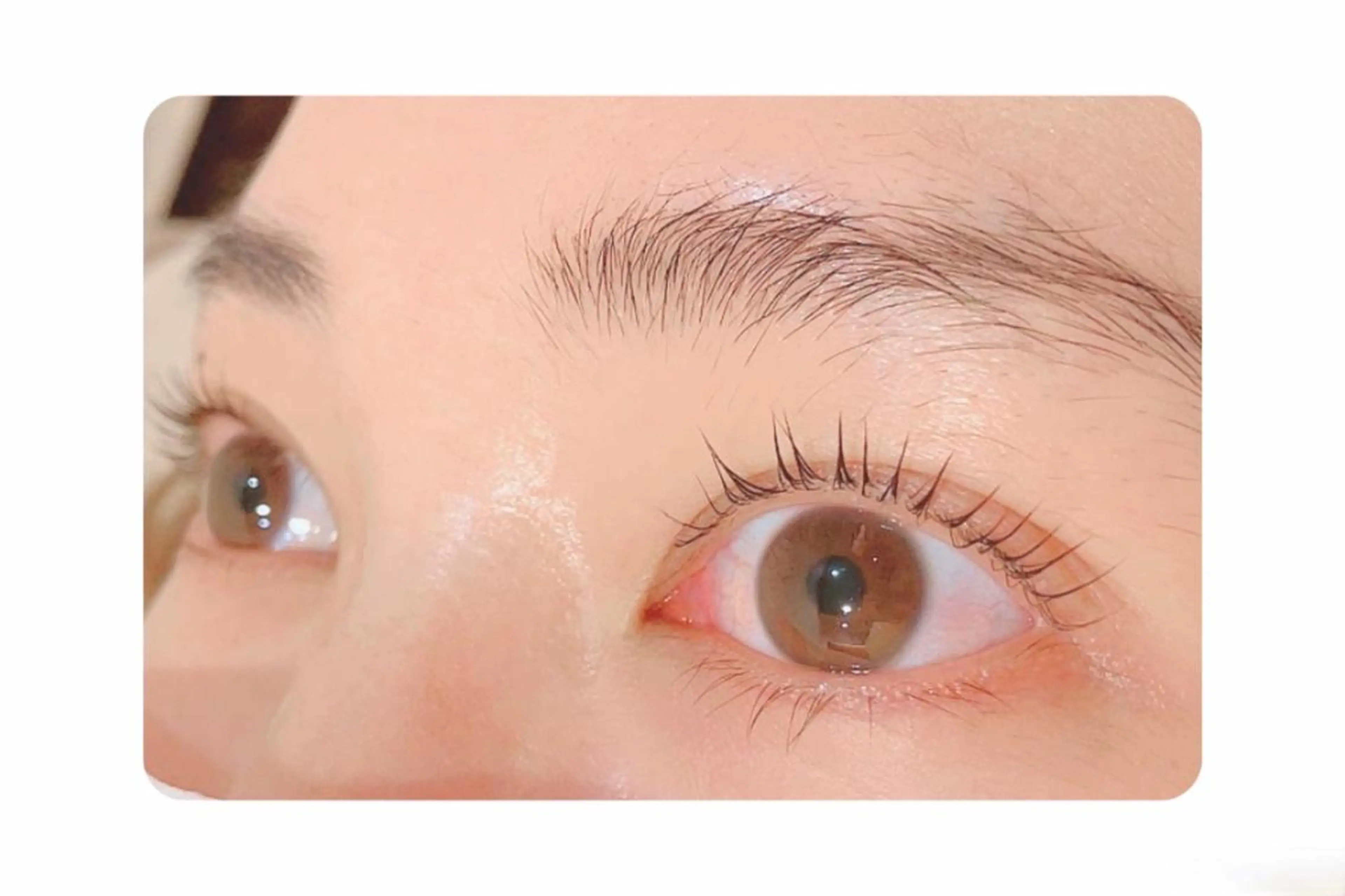 マツエク・マツパ Gluttony/ ｸﾞﾗﾄﾆｰ＊ユキのマツエク・マツパデザイン